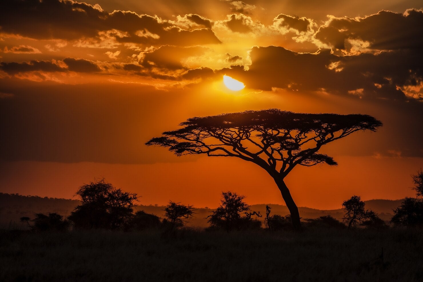Sudáfrica 