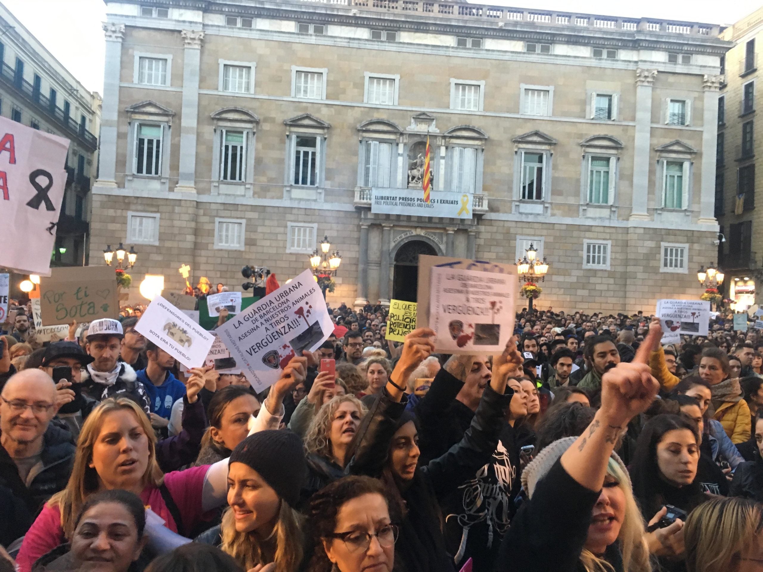 La protesta per la mort de la gossa sota pels trets d'un guàrdia urbà, ahir a la plaça Sant Jaume / S.B.