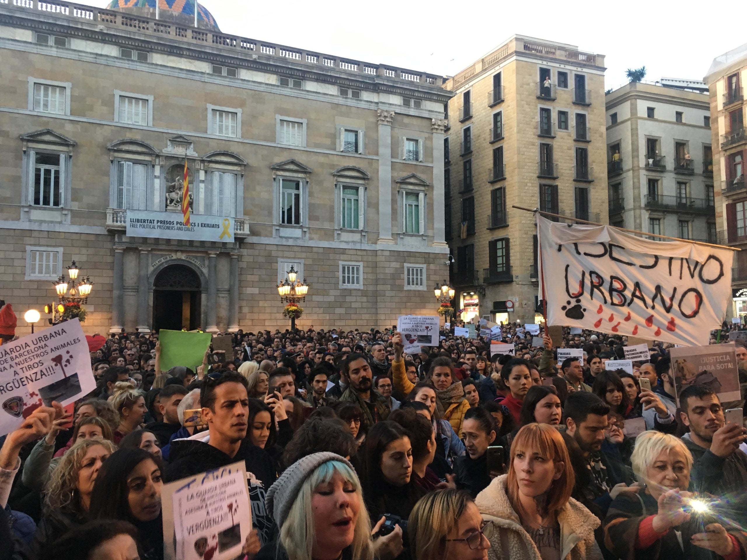 La protesta per la gossa Sota a la plaça Sant Jaume, el dissabte 22 de desembre / S.B.