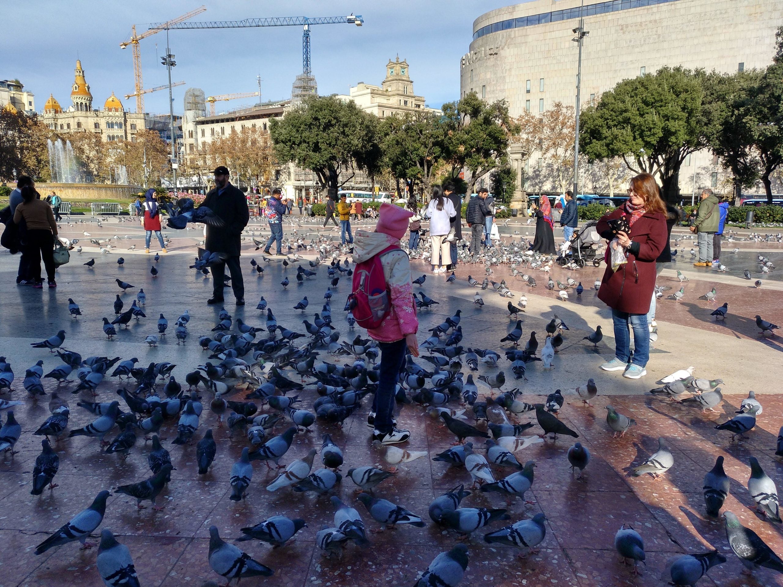 Turistes i barcelonins alimentant coloms a plaça Catalunya, aquest gener / Meritxell M. Pauné