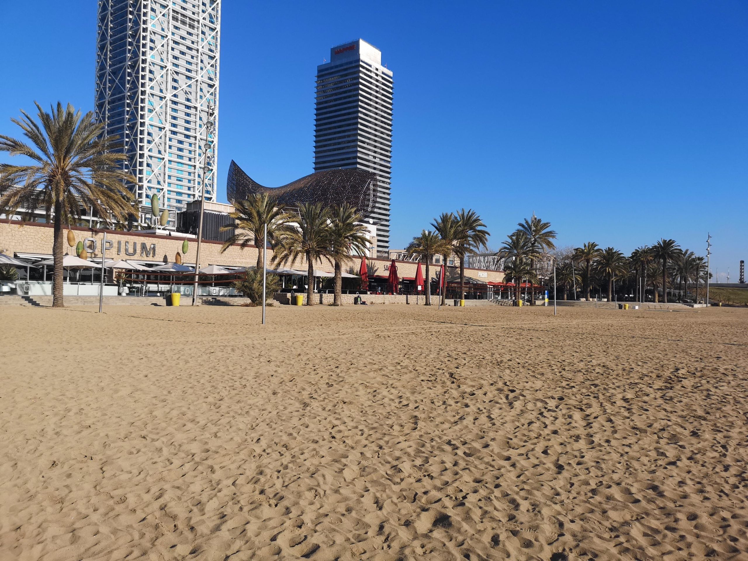 La platja de la Barceloneta, a la zona on aquesta matinada s'hi ha trobat una dona morta / D.C.