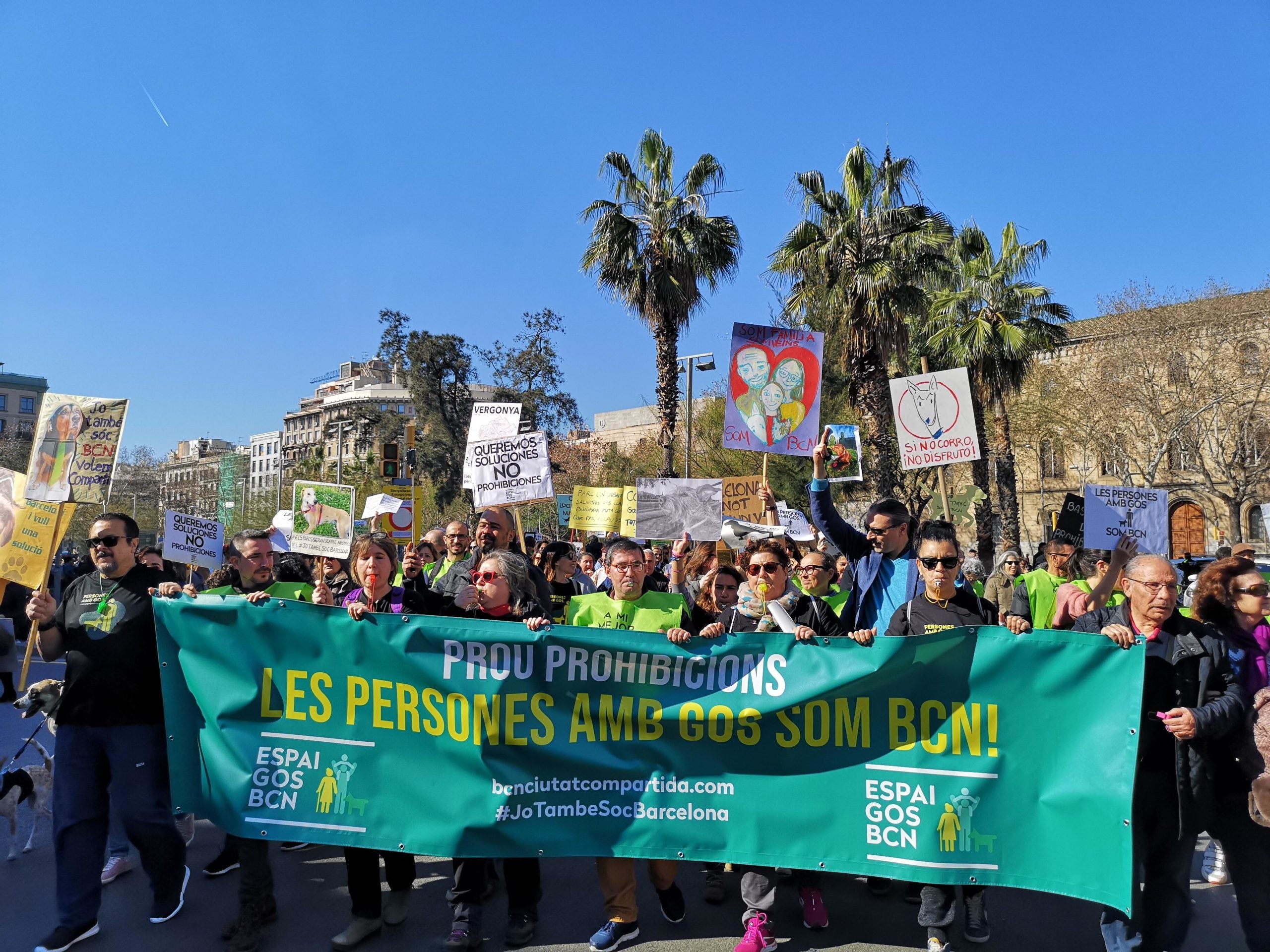 La capçalera de la manifestació dels propietaris de gossos. / D.C.