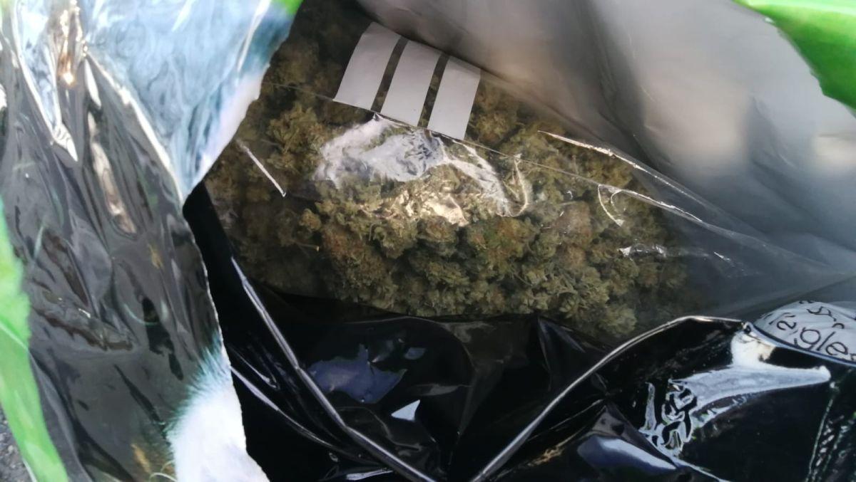 El detingut amagava la droga en bosses de pinso per a gossos. | GUB