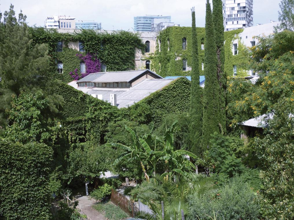 La Fundació Palo Alto Barcelona buscarà una nova ubicació si no canvia el plantejament del concurs / Fundació Palo Alto