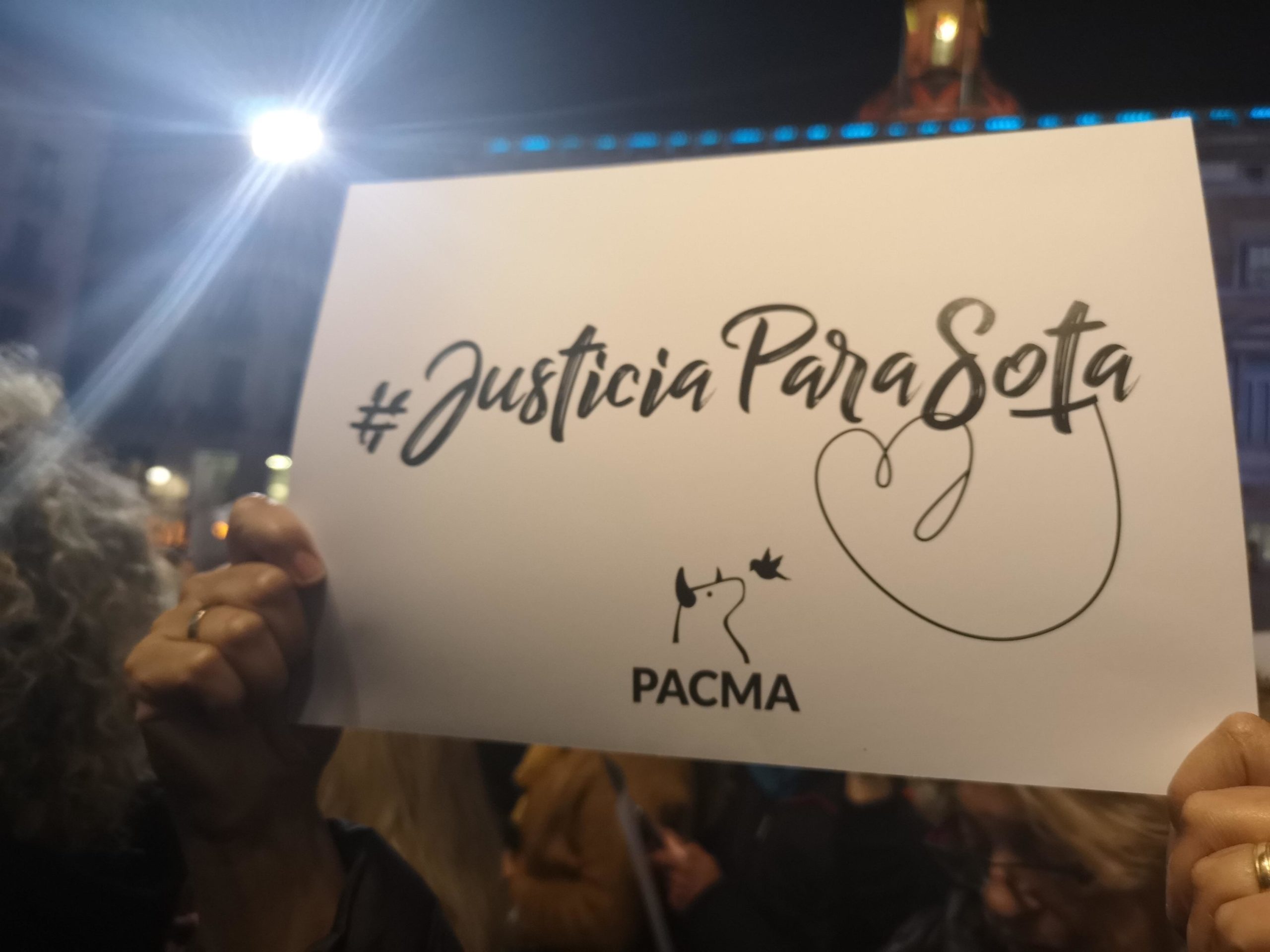 El cartell d'una de les manifestacions de rebuig a la mort de la gossa Sota / D.C.