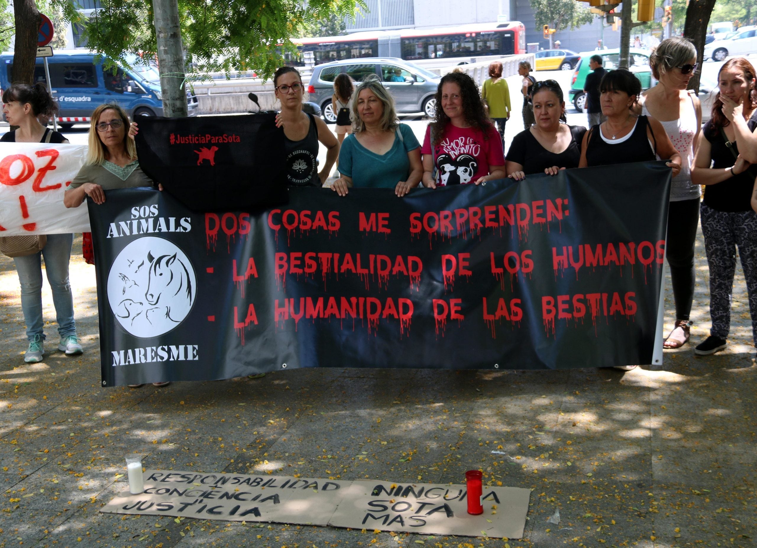 La protesta animalista durant la declaració de l'urbà que va abatre la gossa Sota a la Ciutat de la Justícia / ACN