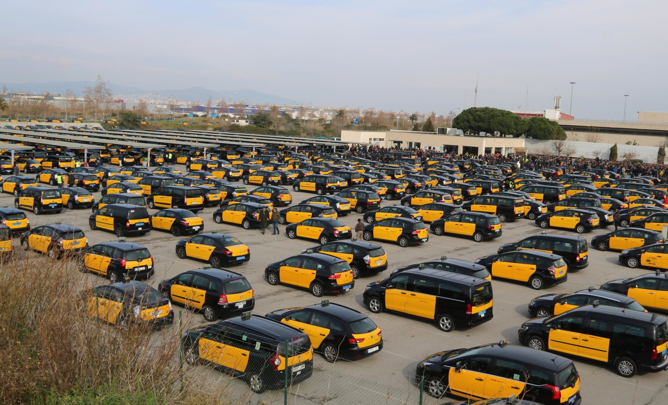 Desenes de taxis estacionats a la zona d'espera de la T2 de l'Aeroport de Barcelona-El Prat / ACN