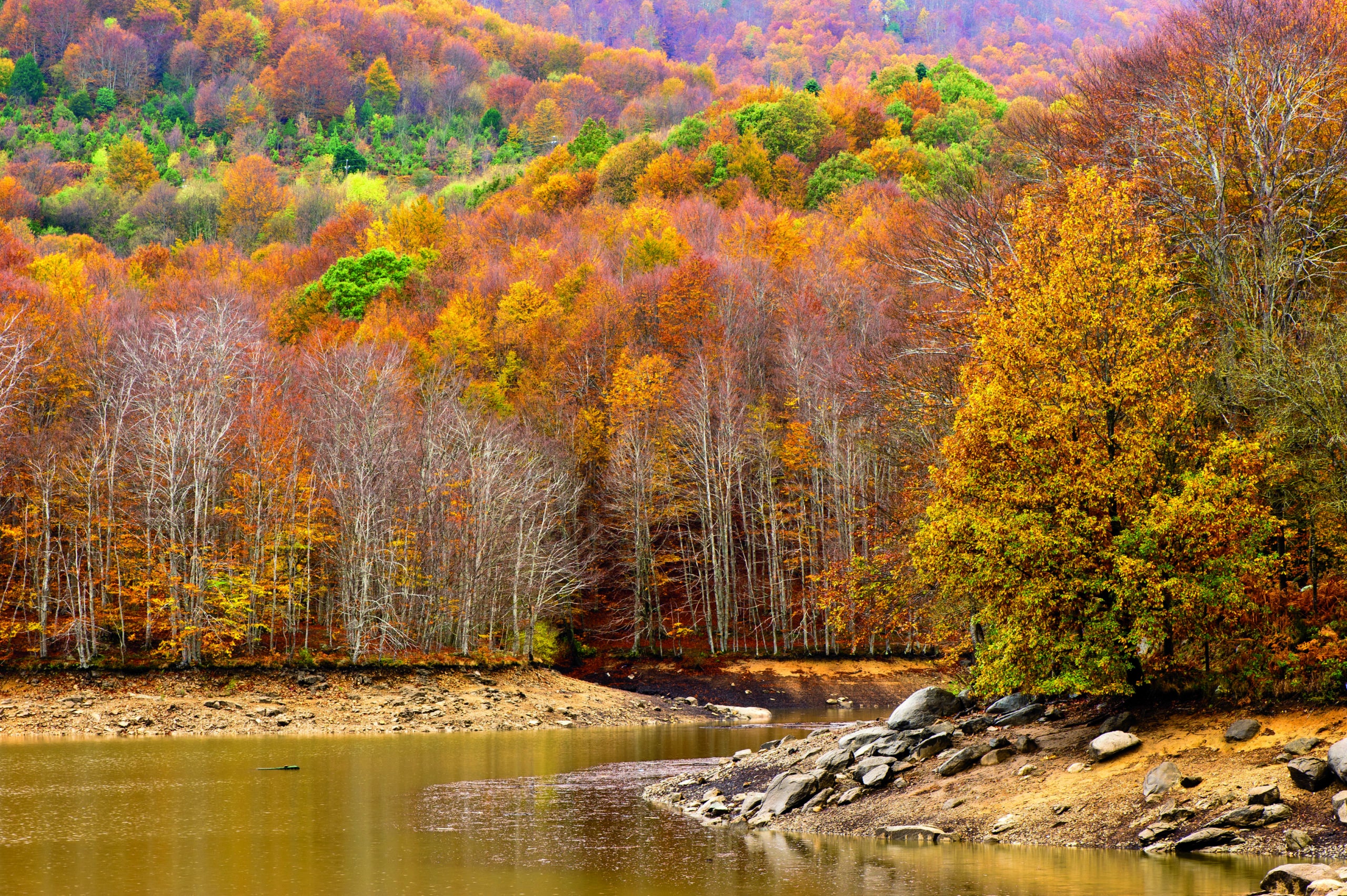 Els colors de tardor del Montseny atrauen milers de visitants | Diputació de Barcelona