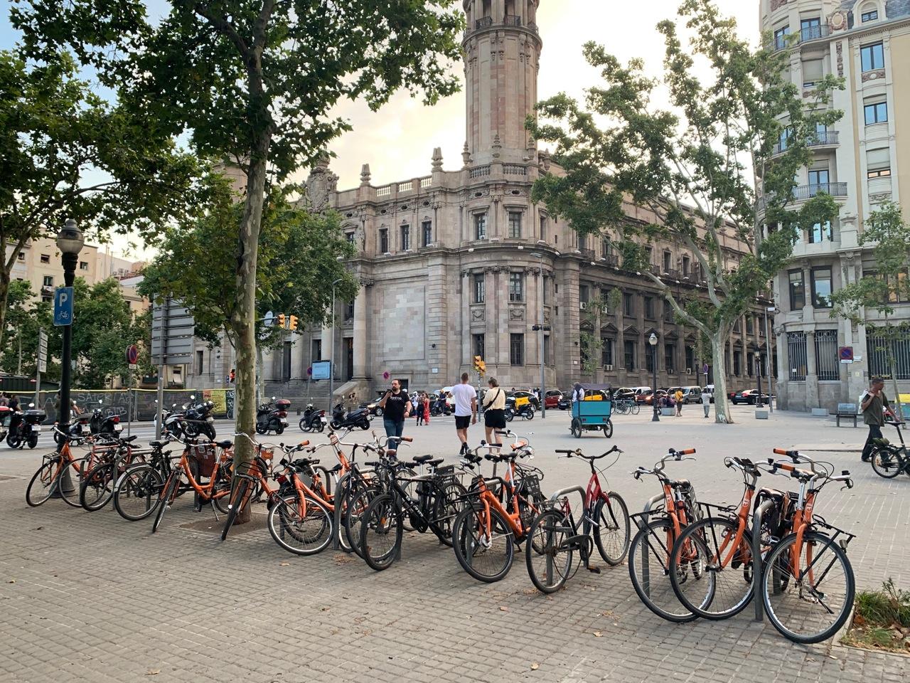 Bicis de lloguer de l'associació que ha presentat el recurs | BiciTours