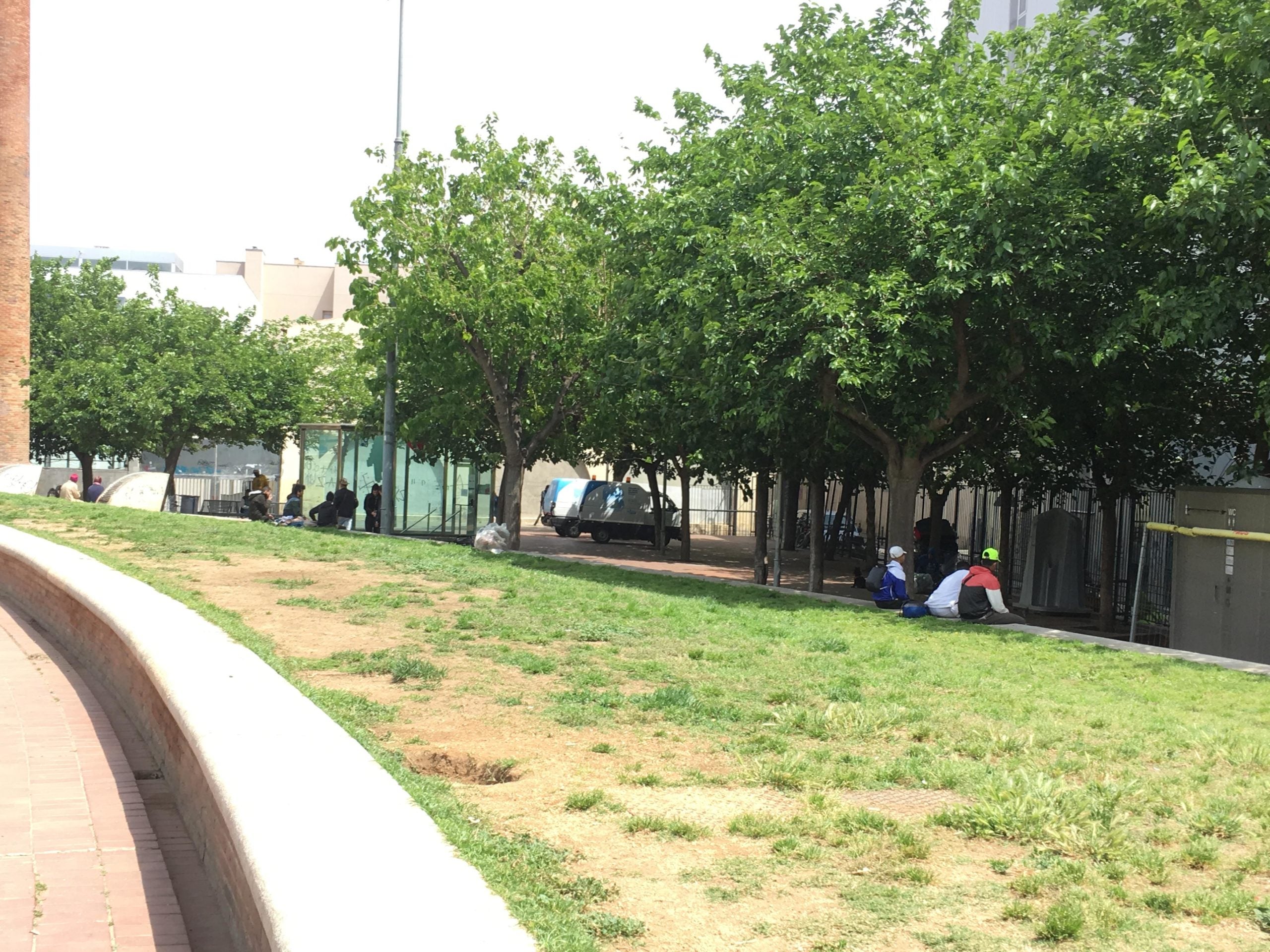 Joves migrants als jardins de Sant Pau del Camp, en una imatge de la primavera / S.B.