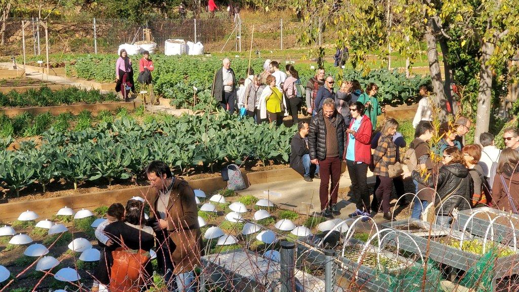 Veïns als horts dels jardins del Doctor Pla i Armengol, el dia de l'obertura al públic / Districte d'Horta-Guinardó