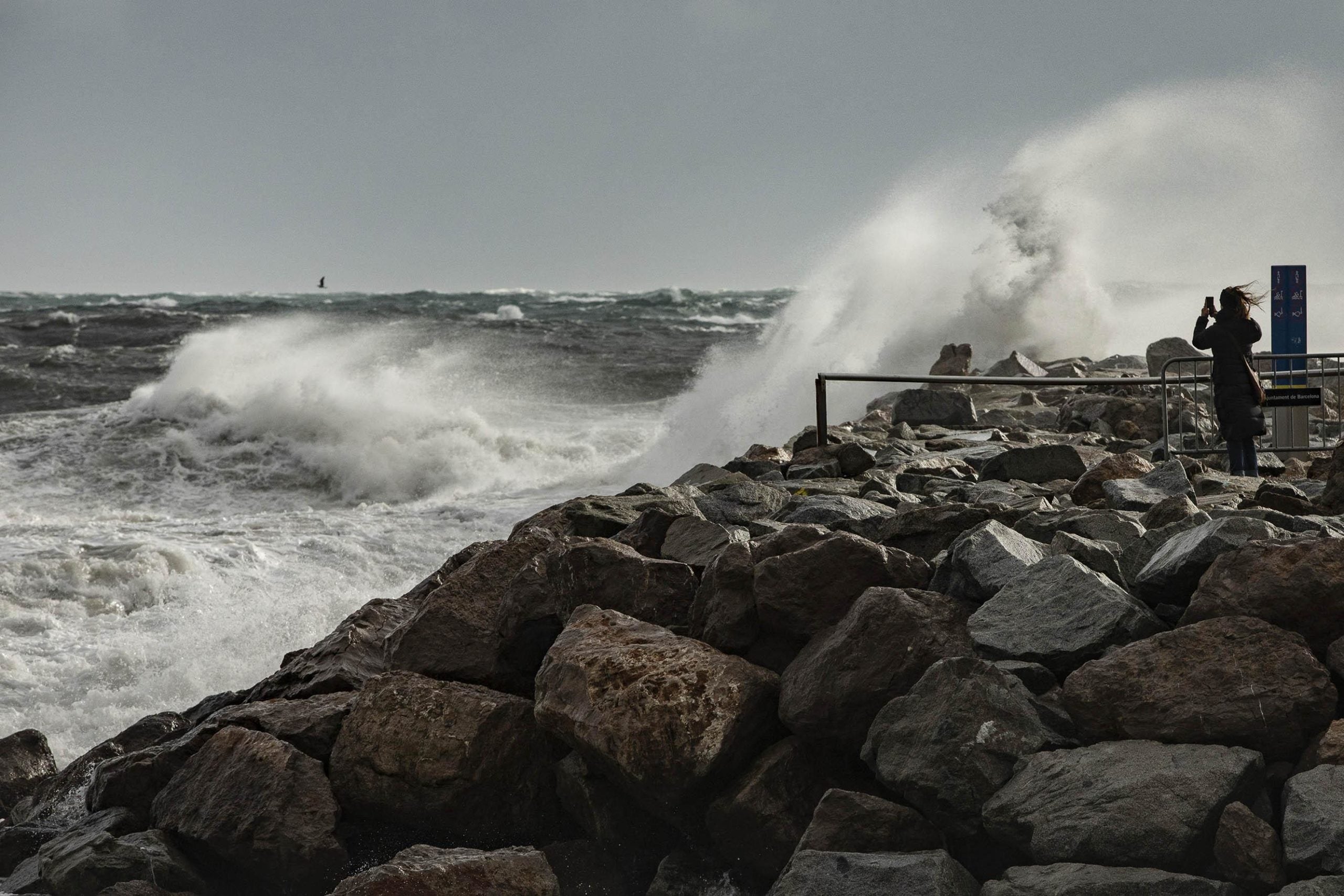 Imatge d'arxiu del temporal Glòria, avui, a la costa barcelonina / Jordi Play