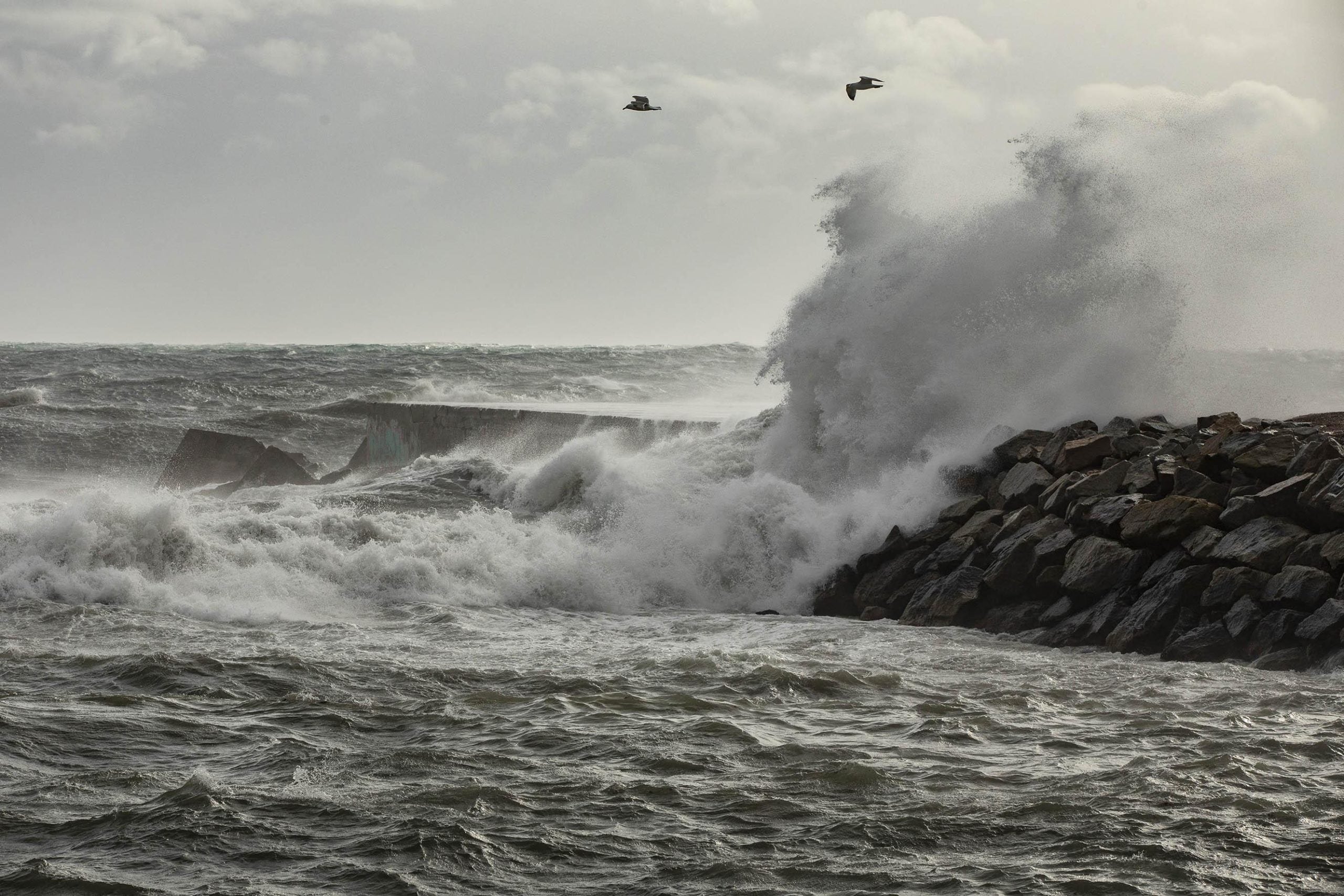 Temporal de vent a la platja de Barcelona / Imatge d’arxiu / Jordi Play