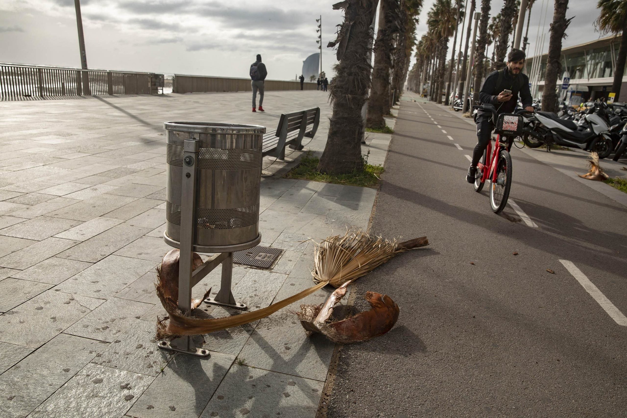 Al passeig marítim, alguns han desafiat el temporal 'Glòria' caminant o amb bici / Jordi Play