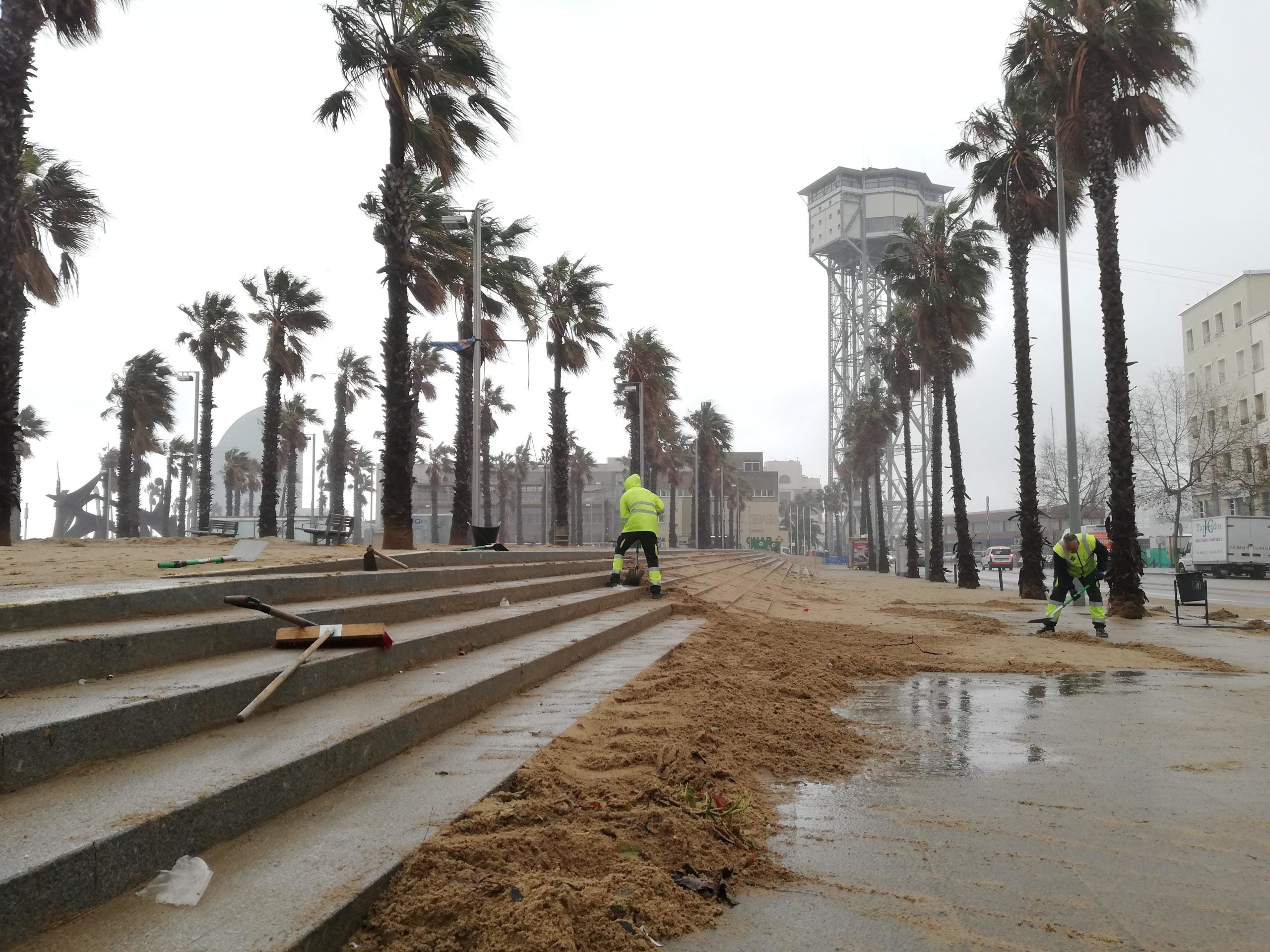Treballadors municipals retiren la sorra del passeig Marítim / A. L.