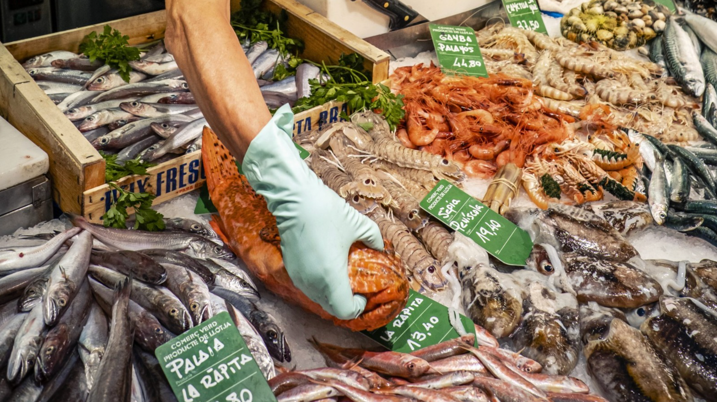 En marxa una nova campanya de 'Comerç Verd' per fomentar el consum de productes de proximitat, ecològics i de qualitat als mercats de la ciutat 
