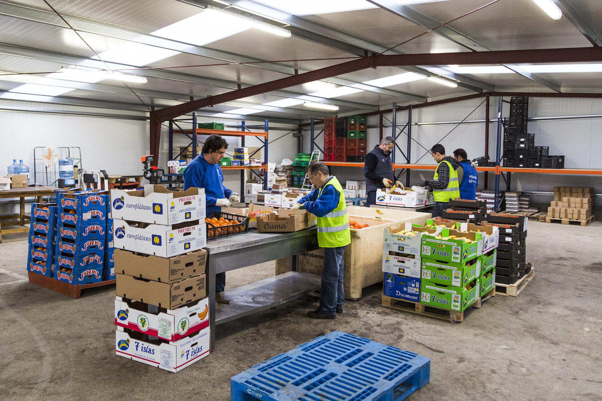 El magatzem que el Banc dels Aliments té a Mercabarna per distribuir les donacions del majoristes / Cedida