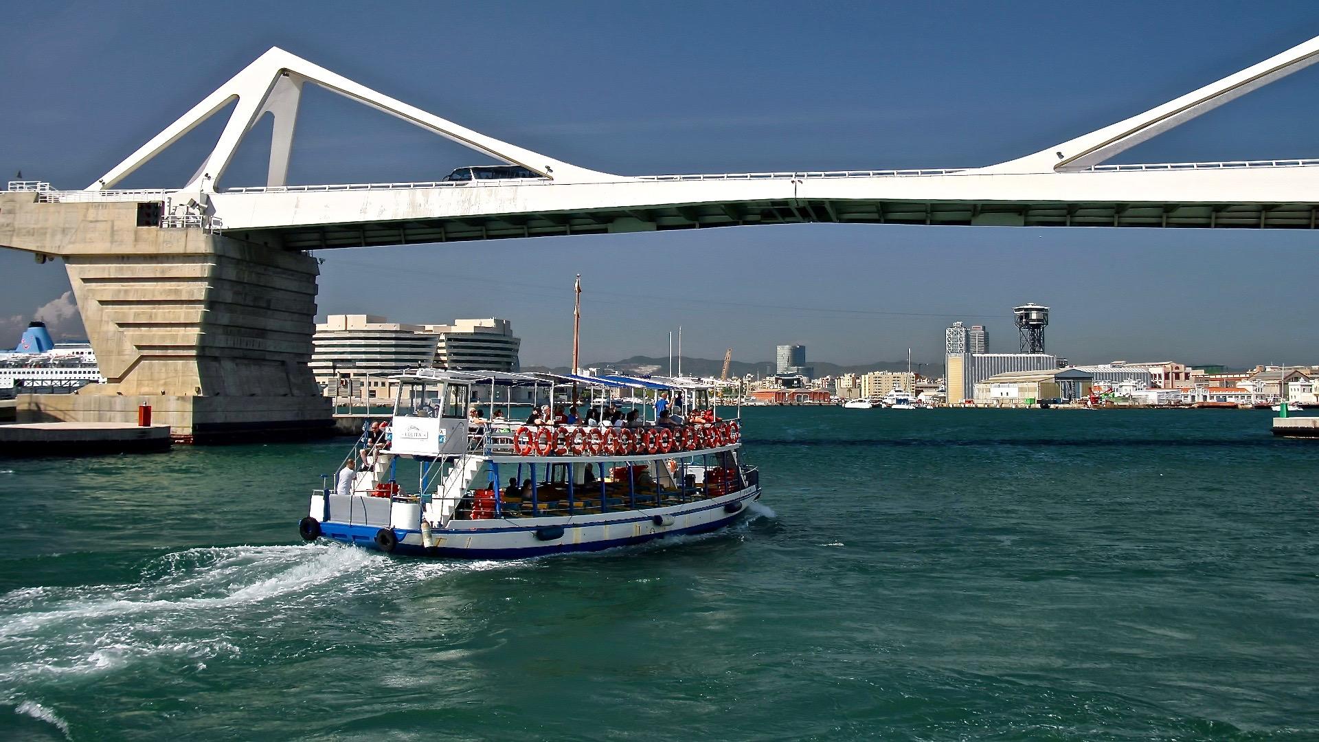 Una golondrina passa per sota del pont Porta d'Europa / Jorge Franganillo