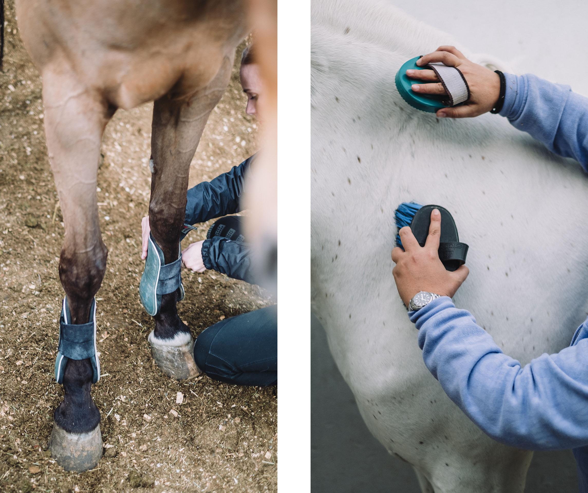 Equinoteràpia, projecte Alma de l'obra social de 