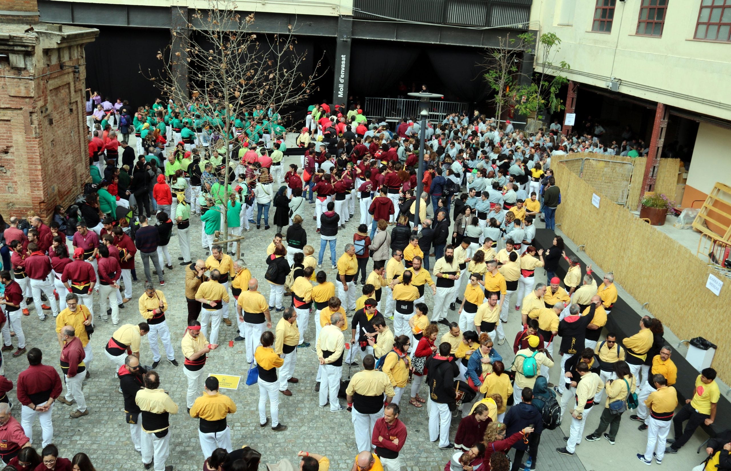 Camises de tots els colors a la macrotrobada dels Castellers de Barcelona pels seus 50 anys / ACN - Gemma Aleman