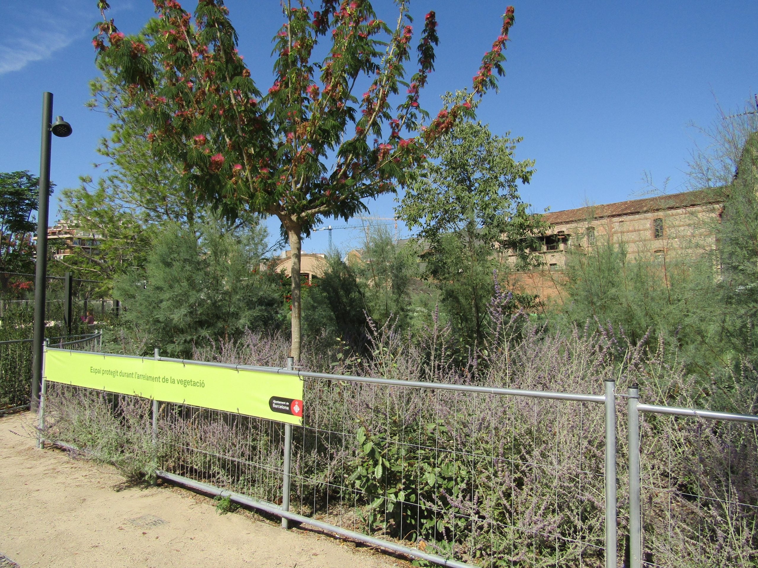 Tanques a tots els parterres i racons de vegetació del parc de les Glòries / MMP