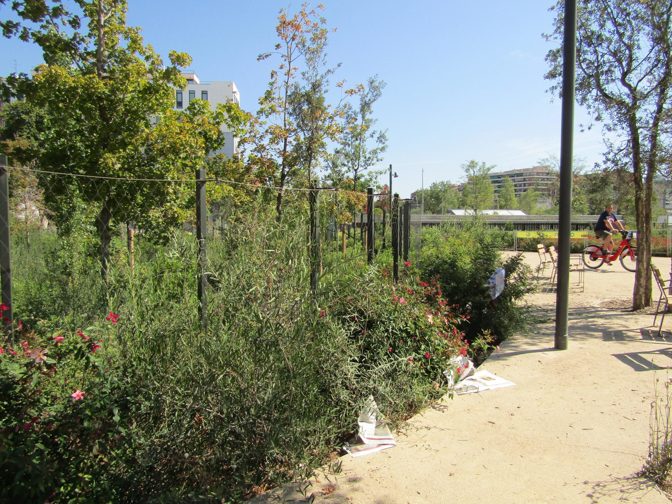 Deixalles entre la vegetació del parc de les Glòries / MMP