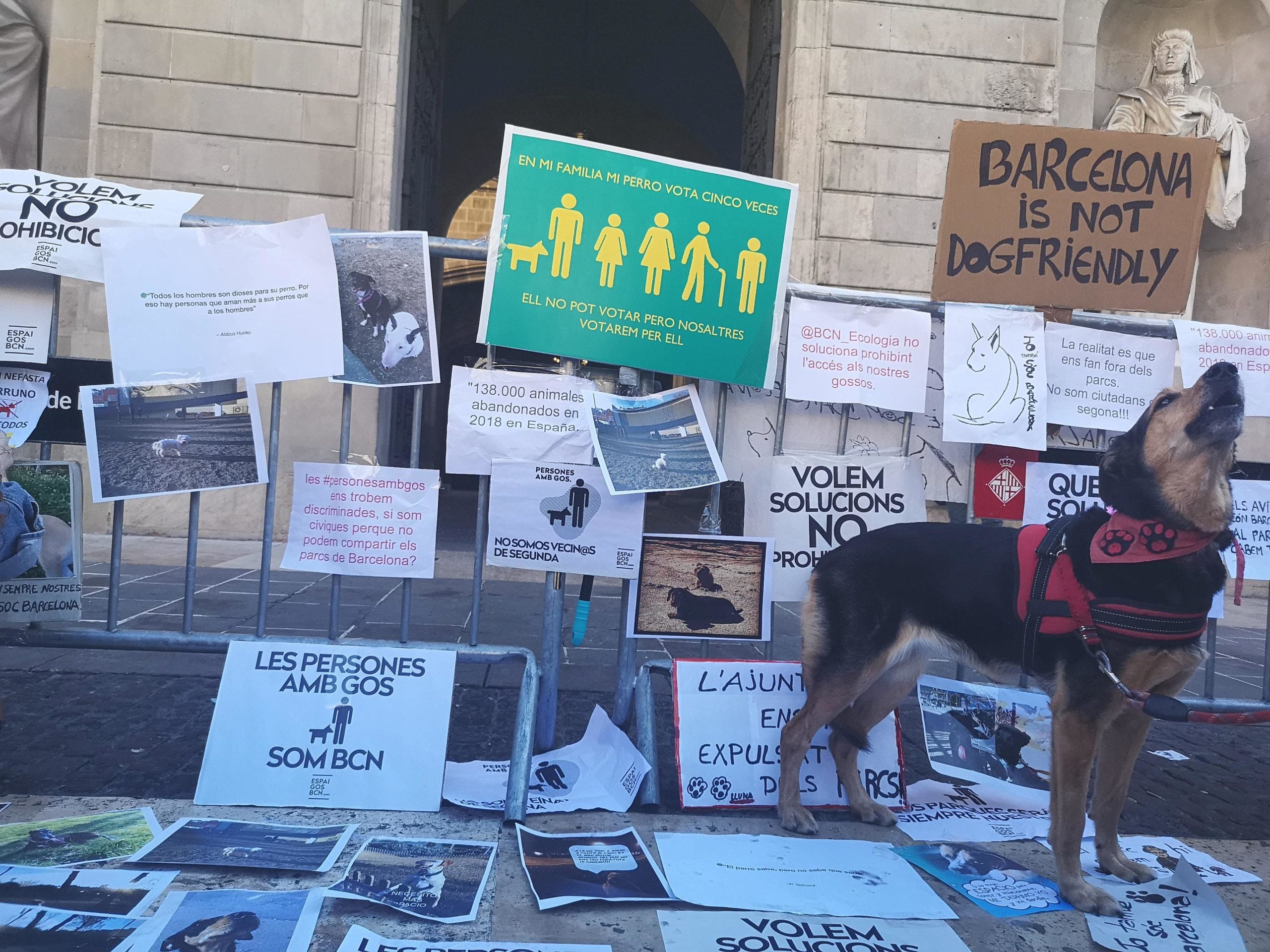 Els cartells que han enganxat a terra i a les tanques de plaça Sant Jaume els amos dels gossos / D.C. Els cartells que han enganxat a terra i a les tanques de plaça Sant Jaume els amos dels gossos / D.C.