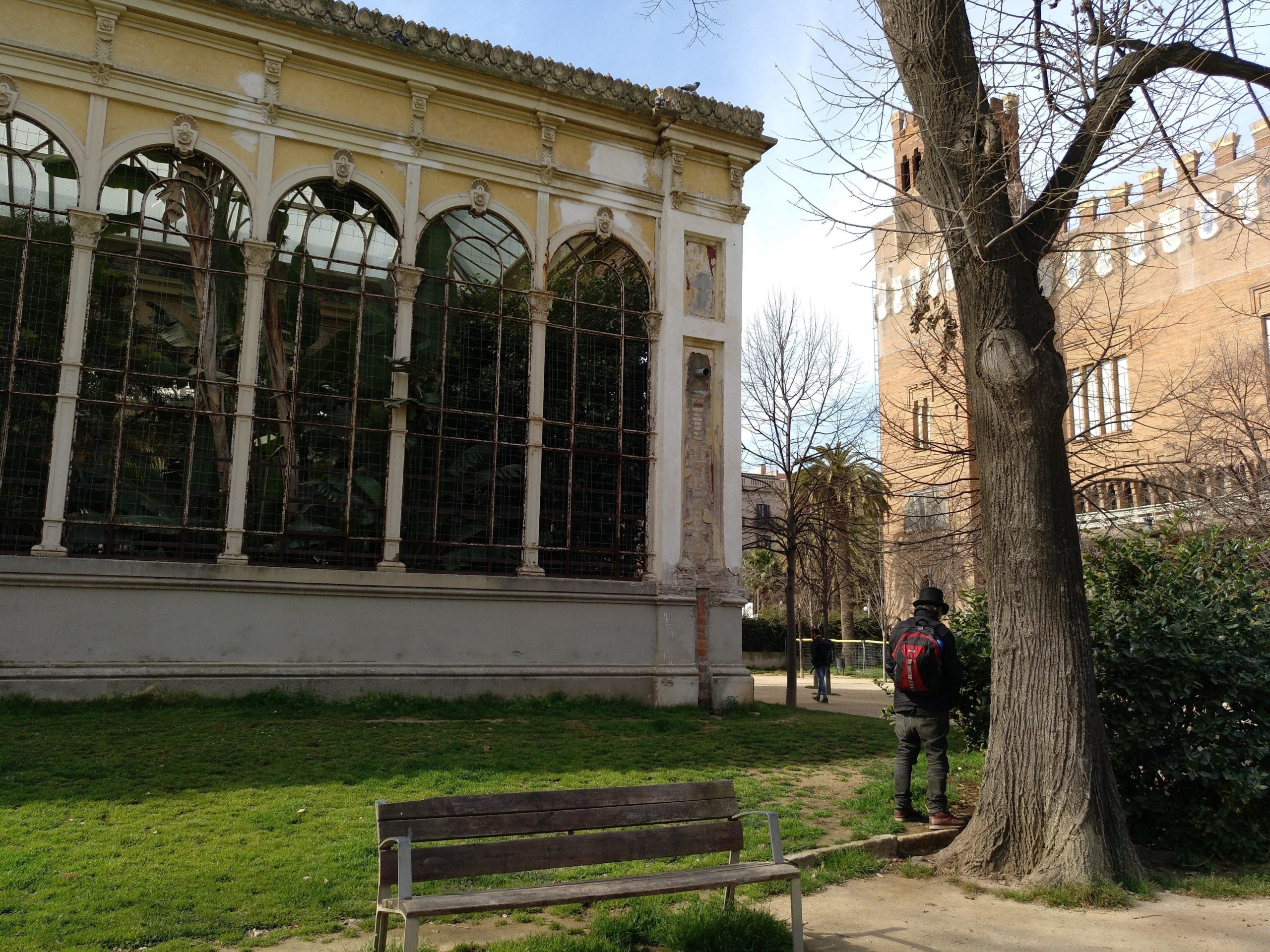 Un home orinant al costat de l'Hivernacle de la Ciutadella, dimarts al migdia / Meritxell M. Pauné
