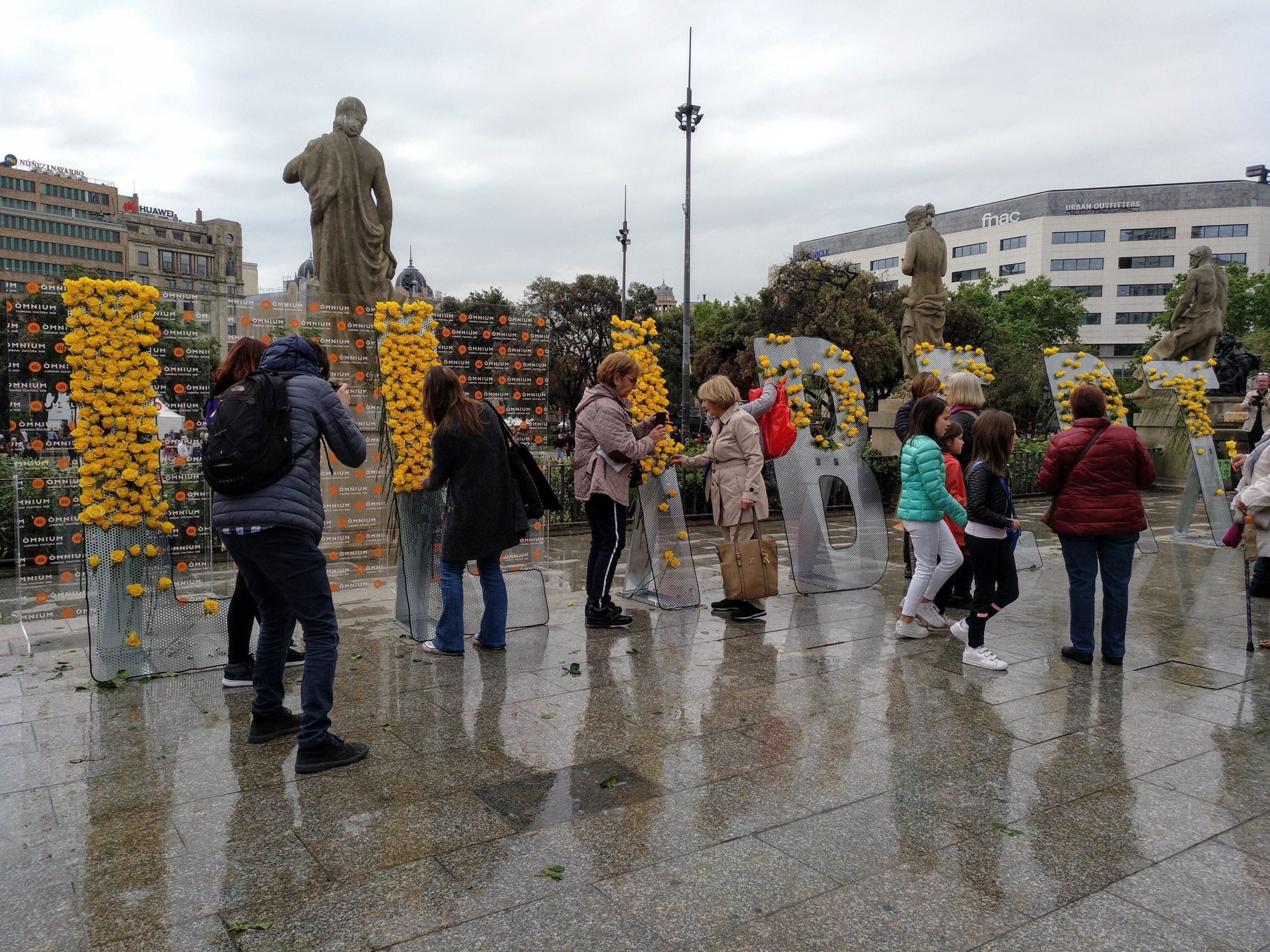 Instal·lació d'Òmnium Cultural a plaça Catalunya, amb roses grogues / MMP