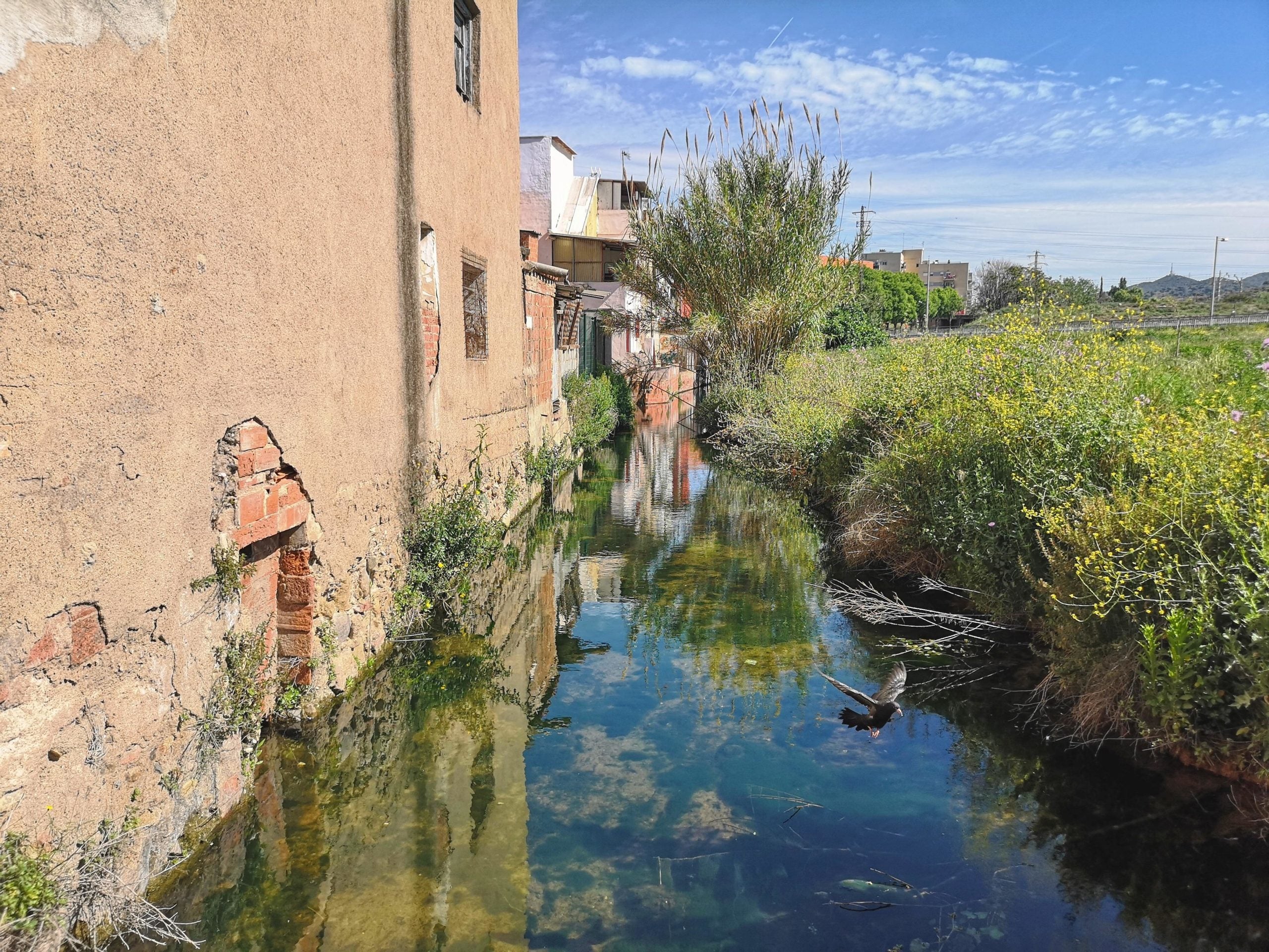 El Rec Comtal al seu pas pel costat dels horts de Vallbona. / D.C.