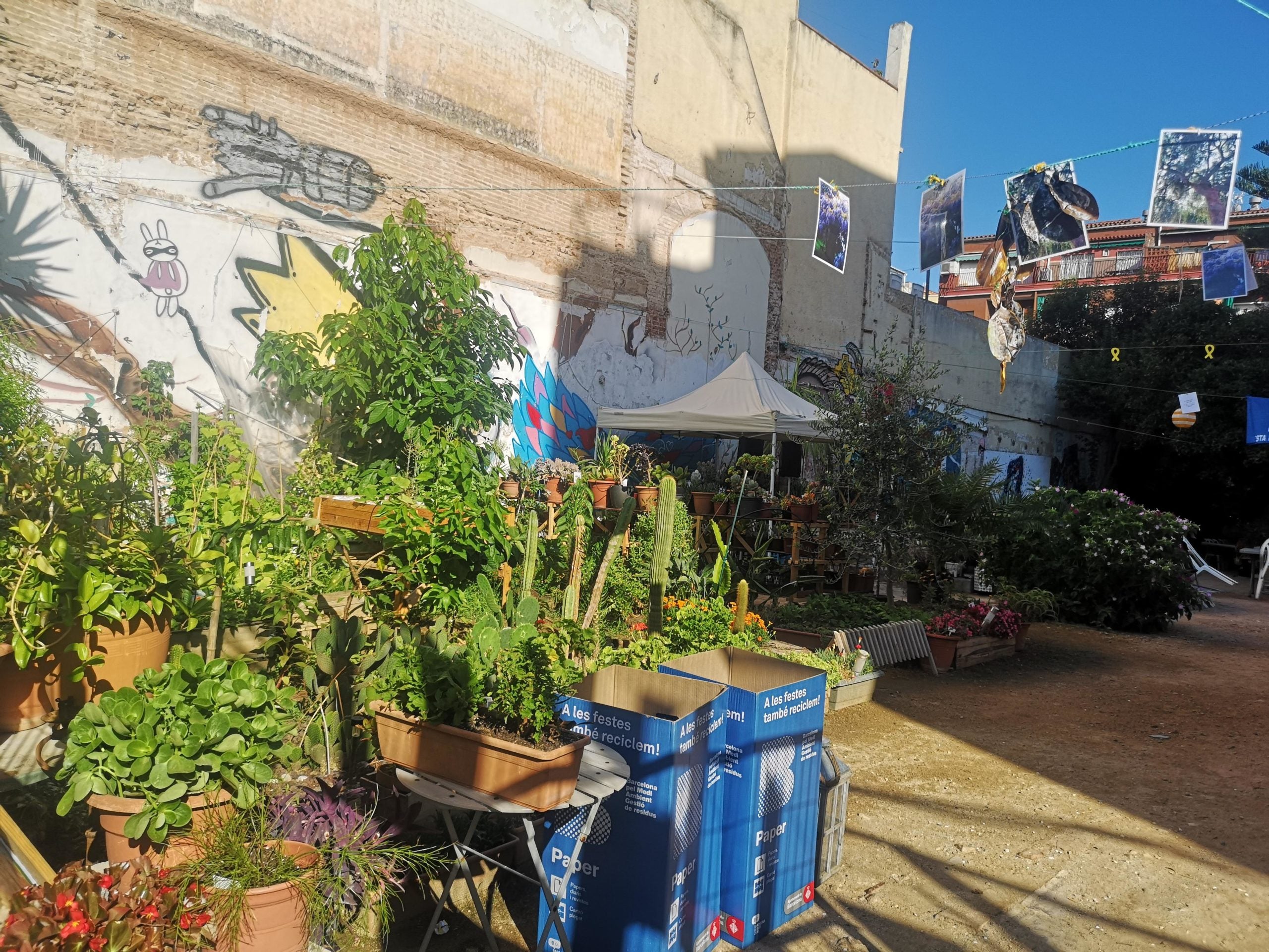 Plantes i flors han retornat el verd al tros del Jardí del Silenci de Gràcia enderrocat el gener de 2012 / David Cobo Plantes i flors han retornat el verd al tros del Jardí del Silenci de Gràcia enderrocat el gener de 2012 / David Cobo