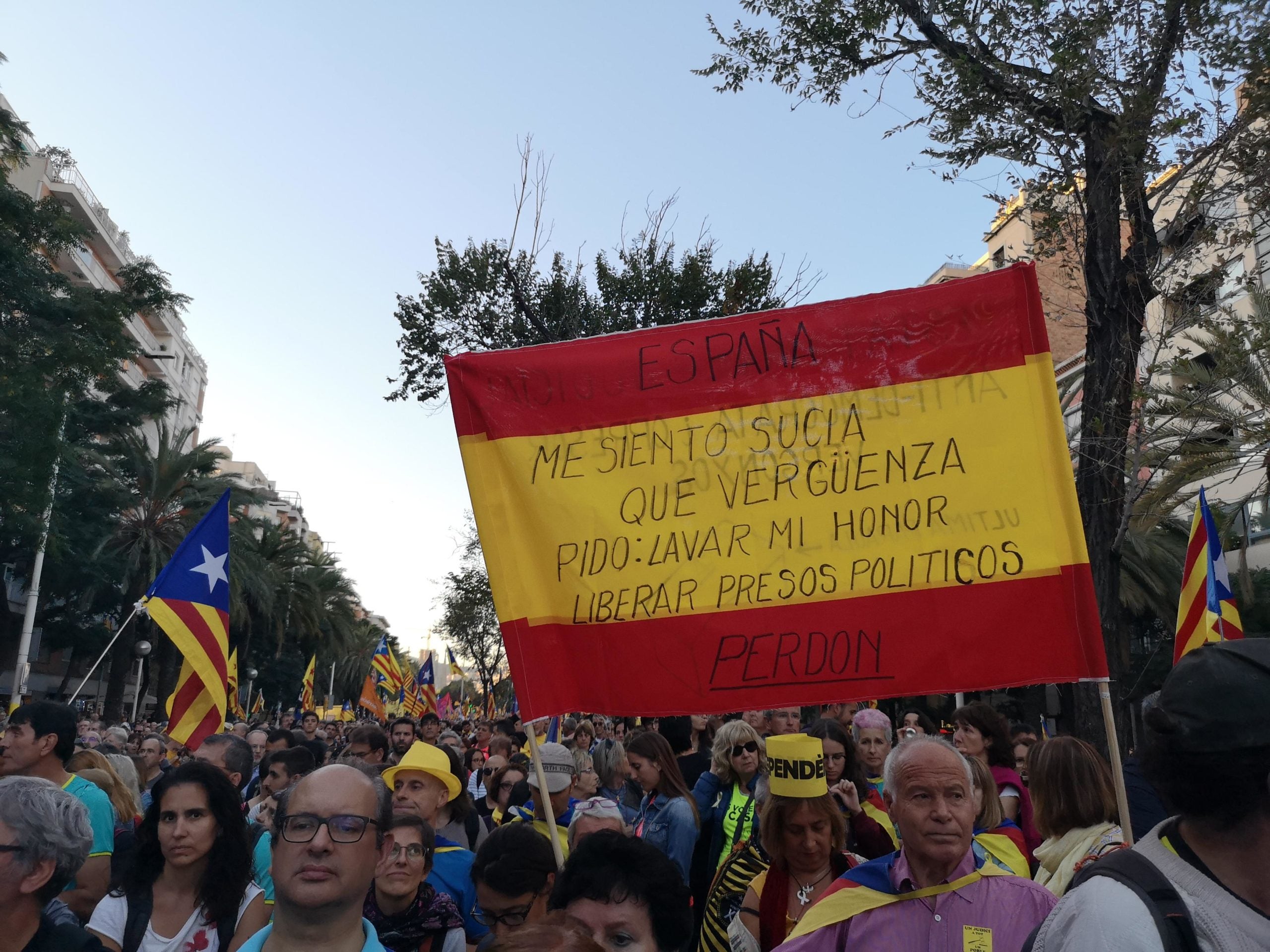 La bandera espanyola que demana perdó en la manifestació unitària contra la sentència de l'1-O / David Cobo La bandera espanyola que demana perdó en la manifestació unitària contra la sentència de l'1-O / David Cobo