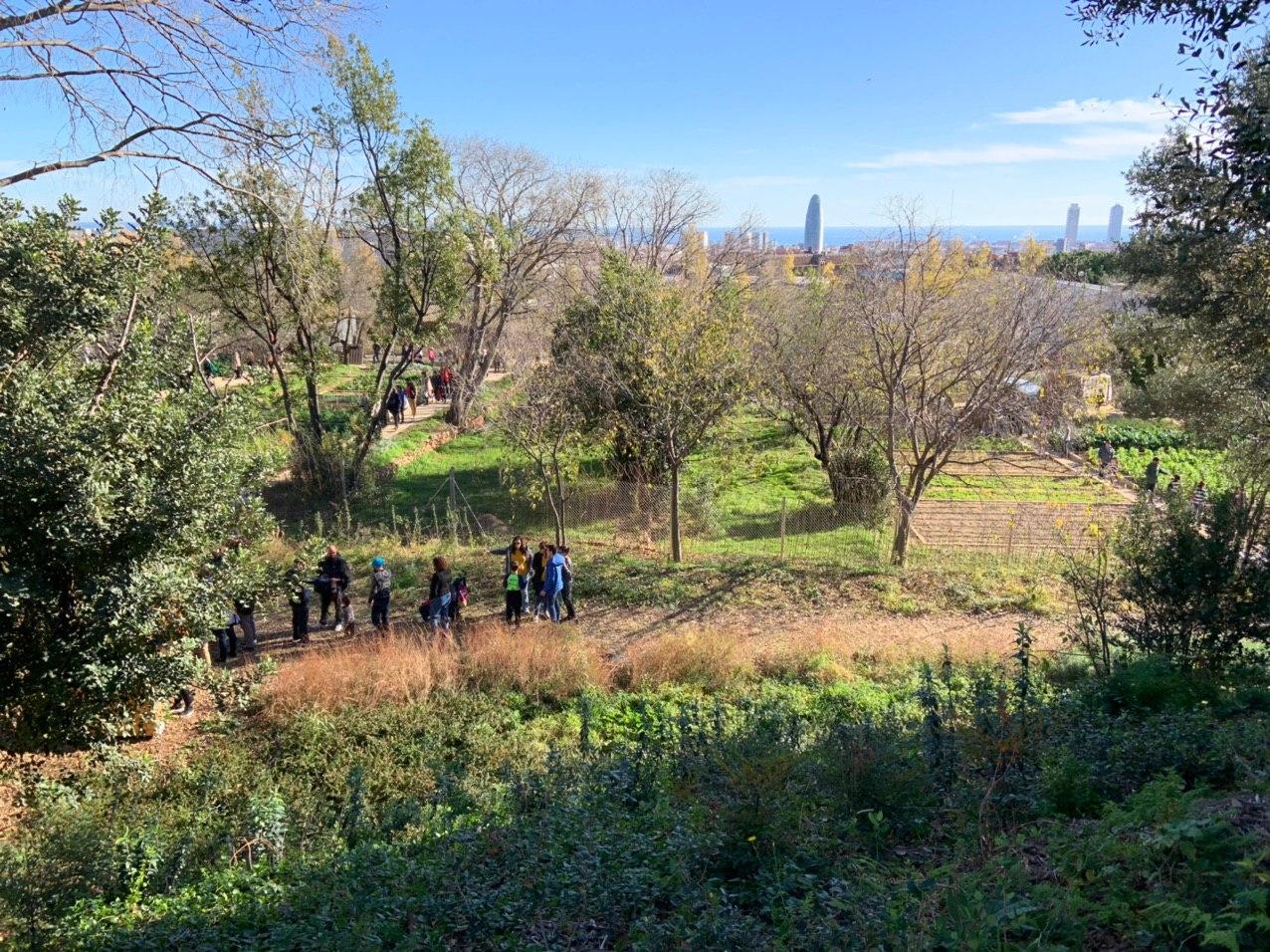 Vistes des dels jardins del Doctor Pla i Armengol, al barri del Guinardó / Twitter - Eloi Badia