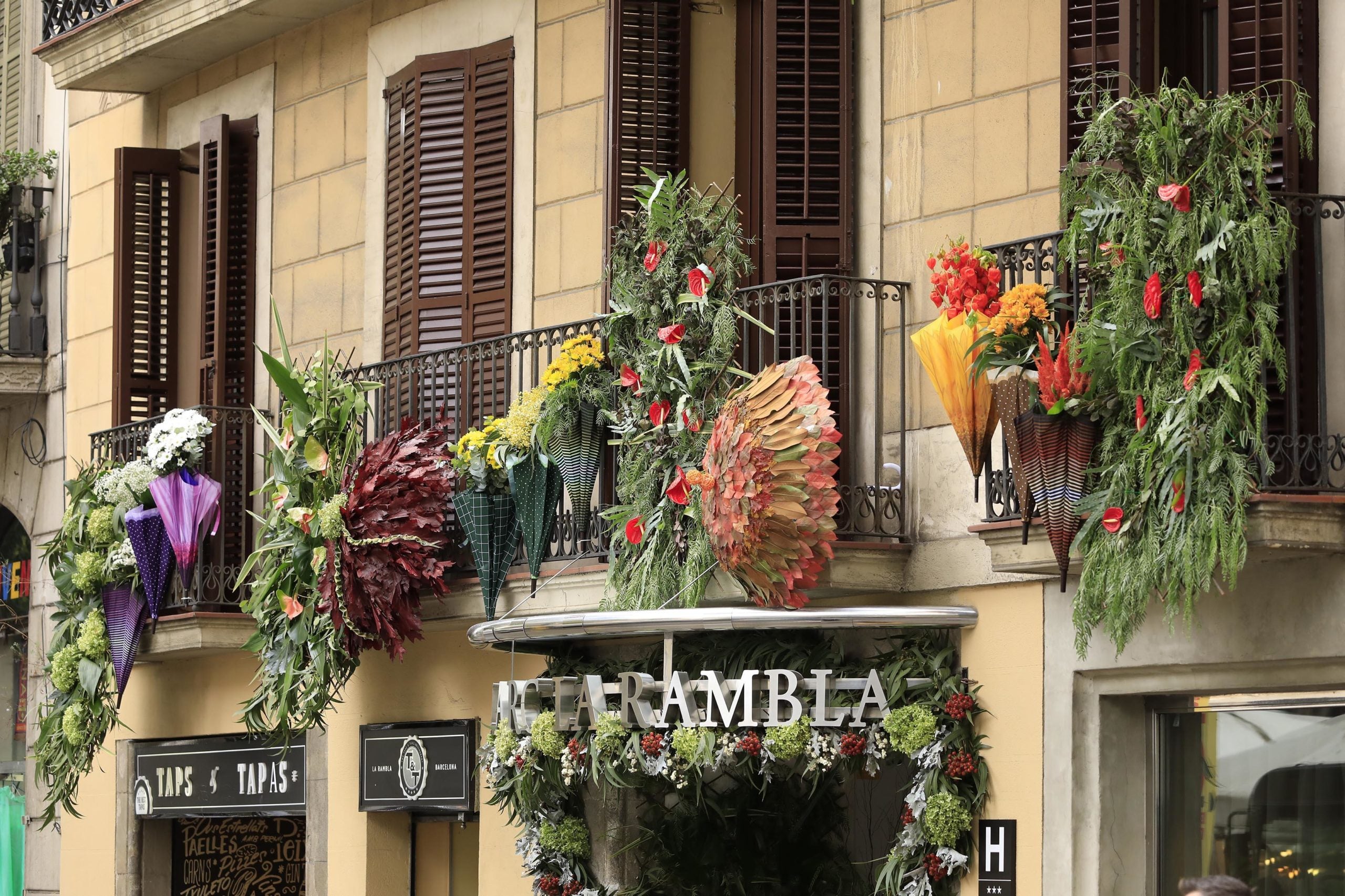 Guarniments florals a les façanes de la Rambla durant les festes del Roser / Amics de la Rambla