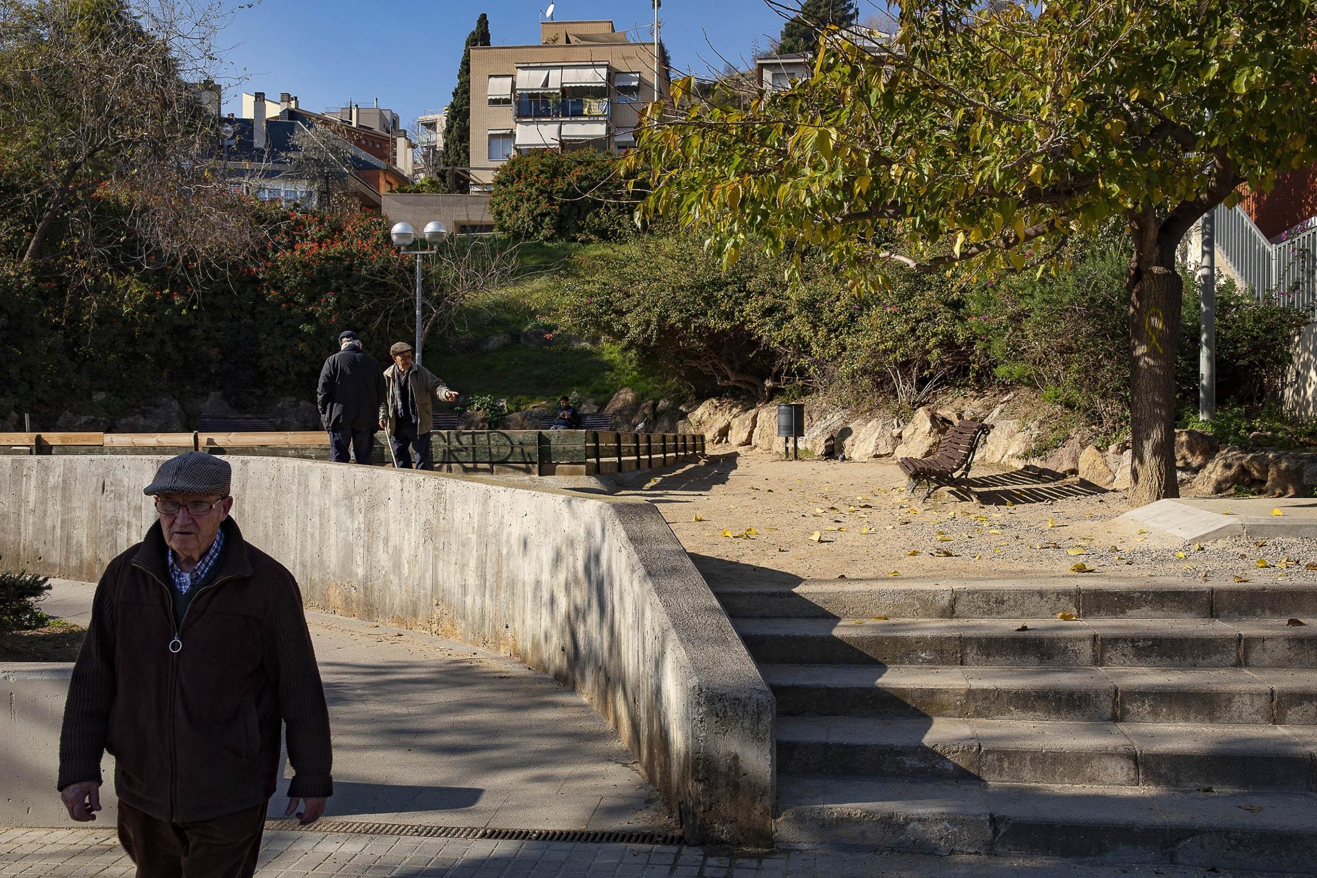 Jardí al costat de la ronda de Dalt on l'Ajuntament vol edificar pisos públics / Jordi Play