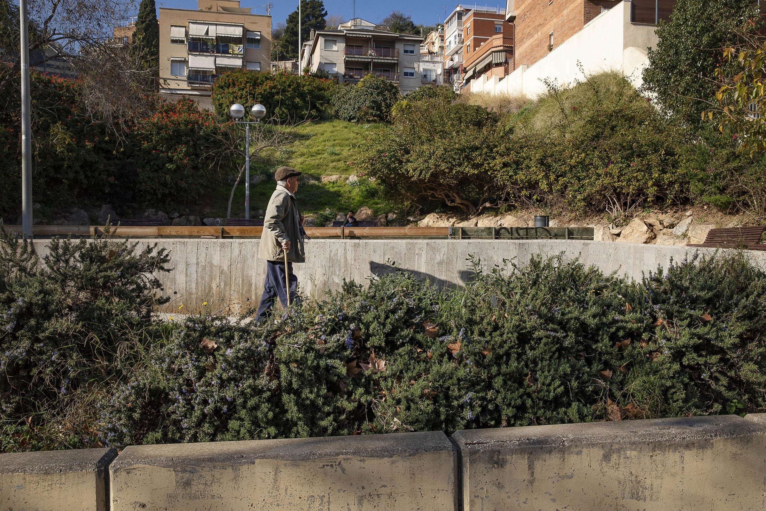 Jardí al costat de la ronda de Dalt on l'Ajuntament vol edificar pisos públics / Jordi Play