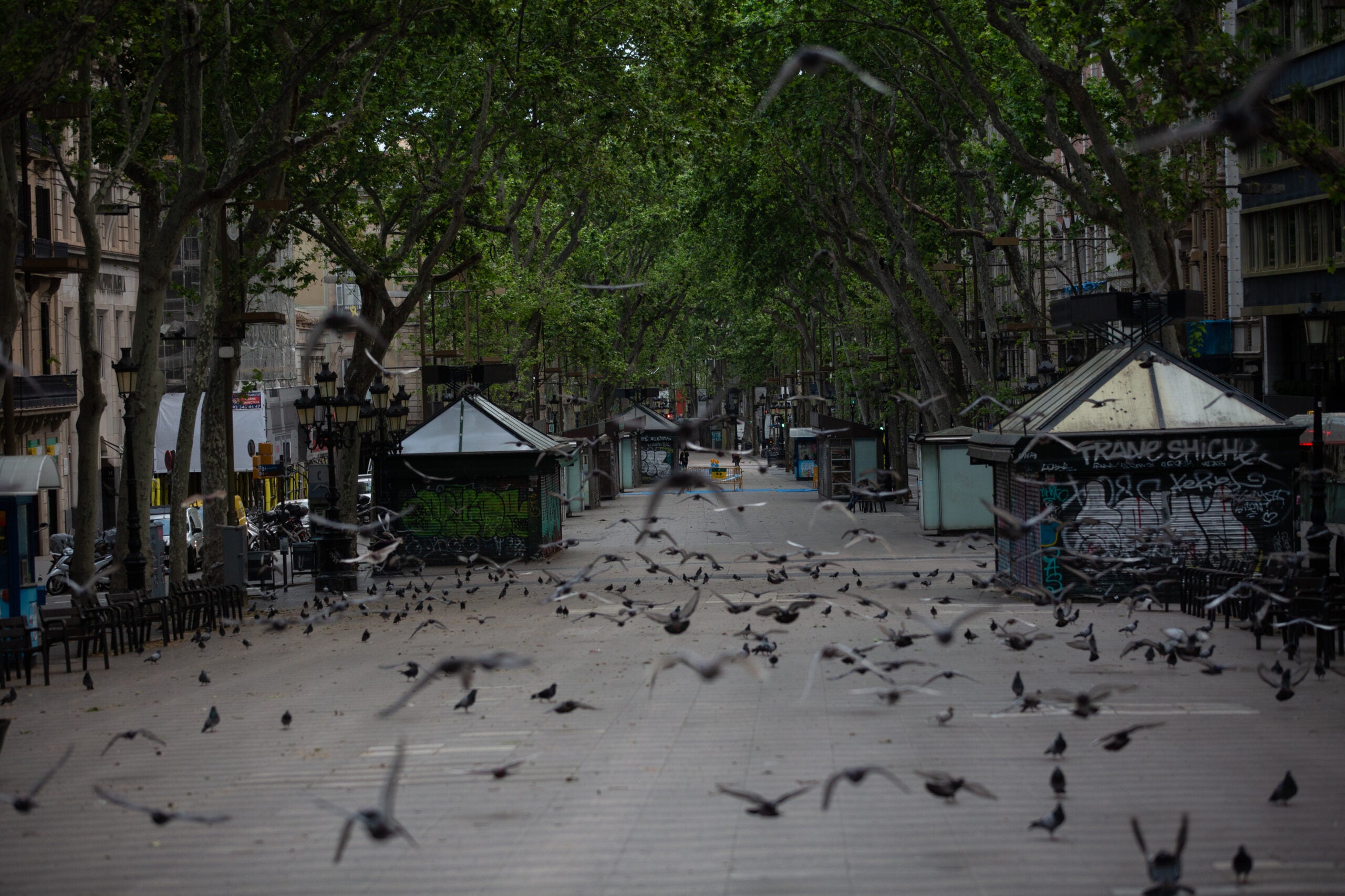 La Rambla, totalment buida el dia de Sant Jordi 2020 / David Zorrakino - Europa Press