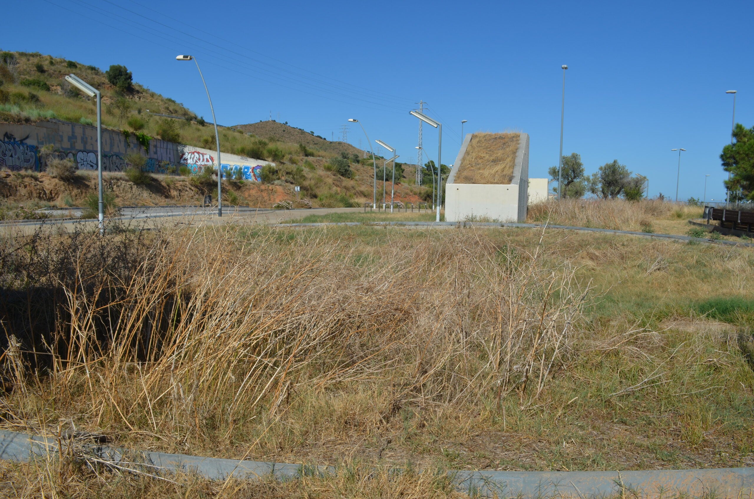 Vegetació assilvestrada al parc Xavier Montsalvatge / A.L.