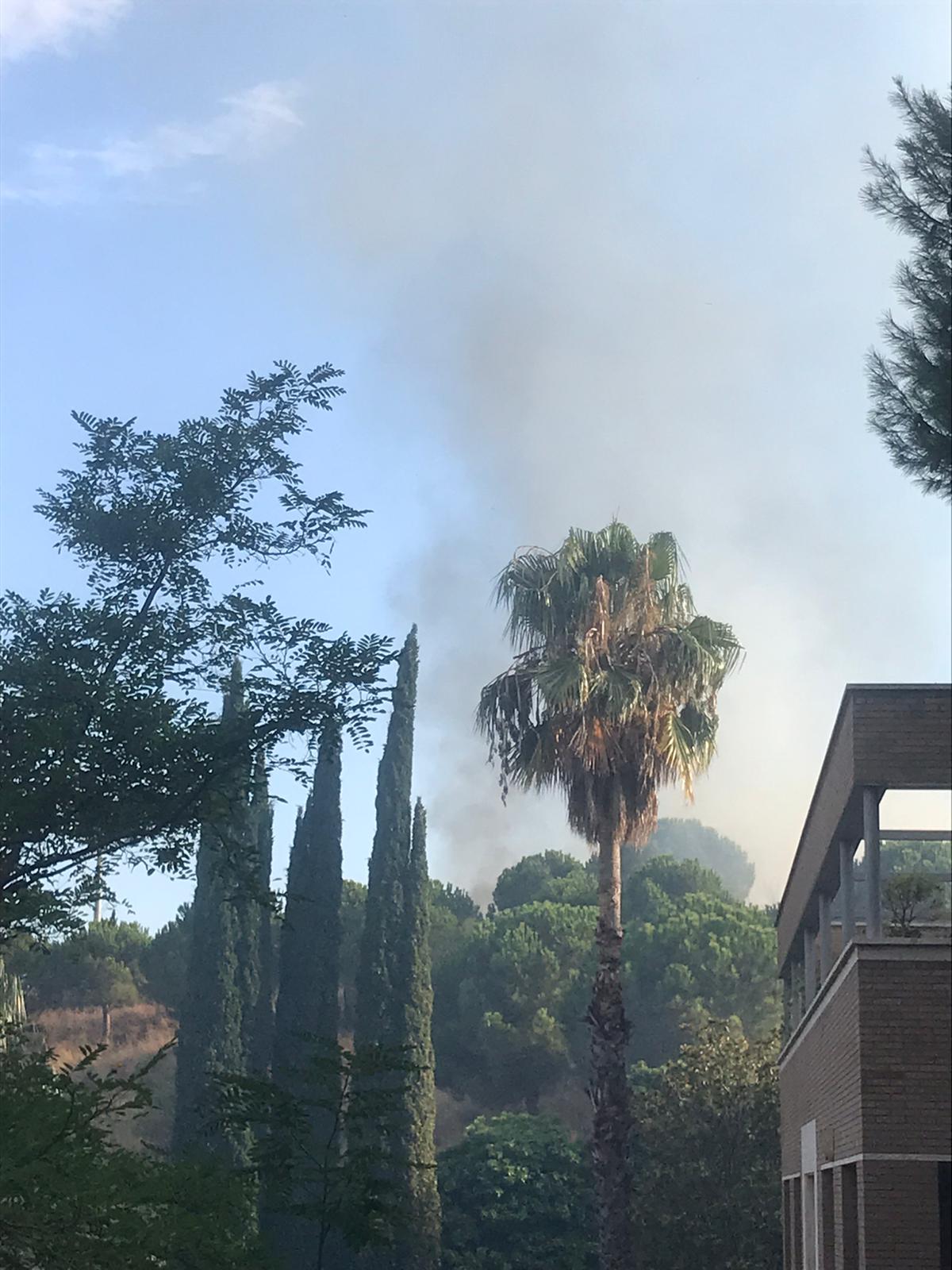 Incendi a Collserola per una crema de matolls, vist des del barri de la Mercè / Cedida