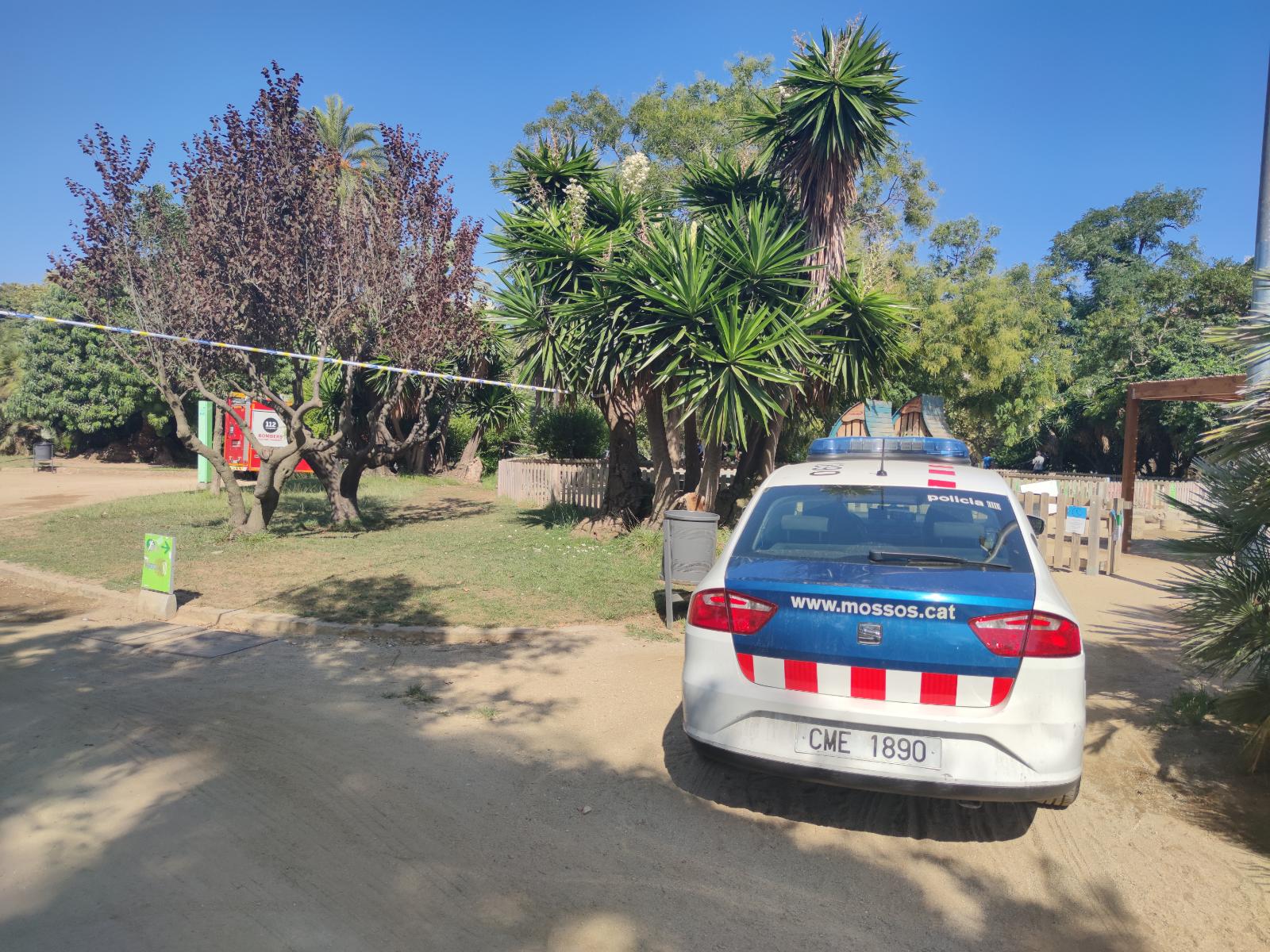 Un cotxe dels Mossos a prop del lloc de l'accident al parc de la Ciutadella on ha mort un home després de caure-li a sobre una palmera / D.C.