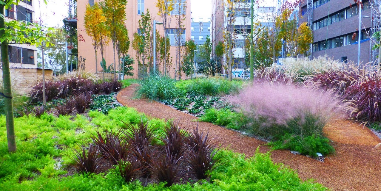 Els nous jardins que s'estrenen al Parc i la Llacuna del Poblenou / Ajuntament