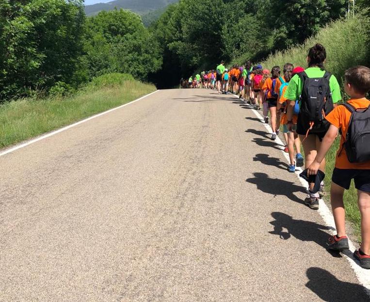 Filera d'infants, amb distància social, al casal d'estiu de l'escola Guinardó / Cedida