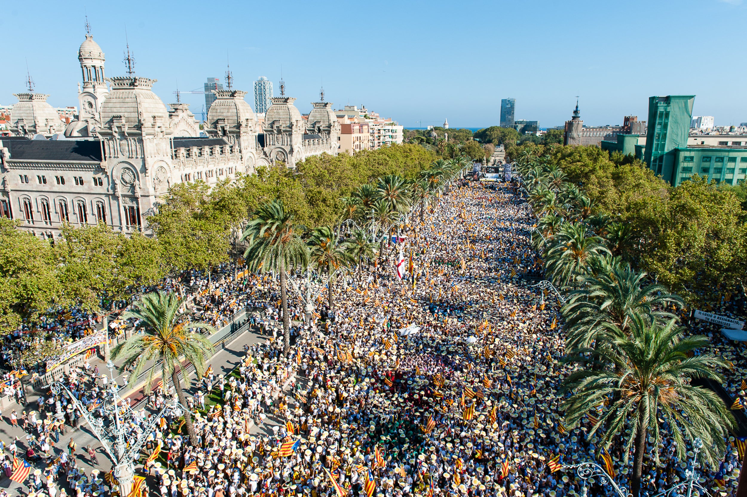 Manifestació per la Diada de 2016 / ACN