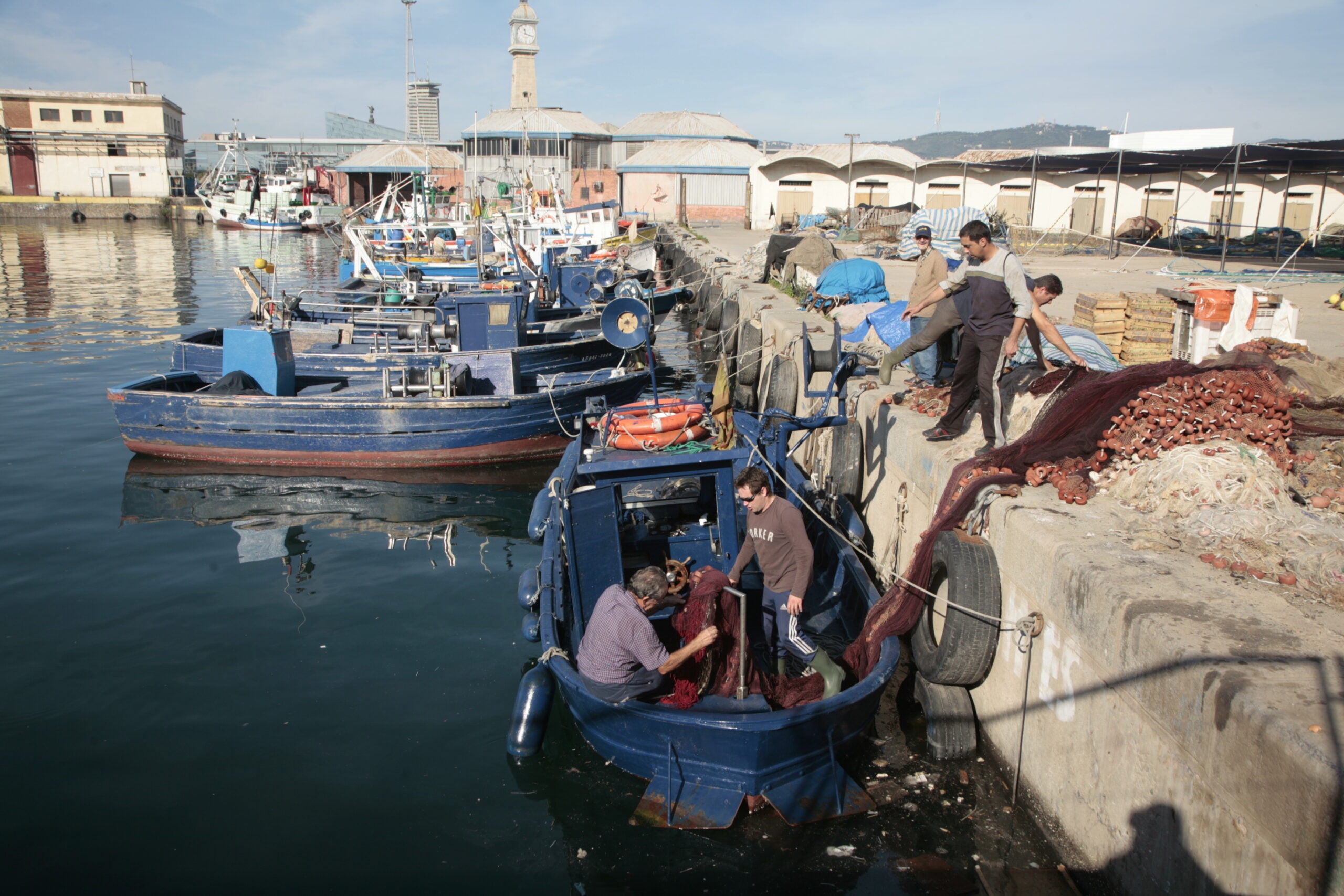 Barques descarregant al Moll de Pescadors de la Barceloneta / Vicens Ferrer - Confraria de Pescadors de Barcelona