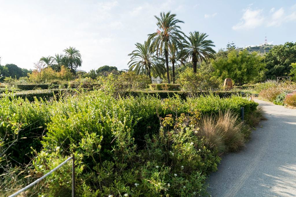 El mapa permet ubicar la flora i la fauna per barris / Ajuntament de Barcelona