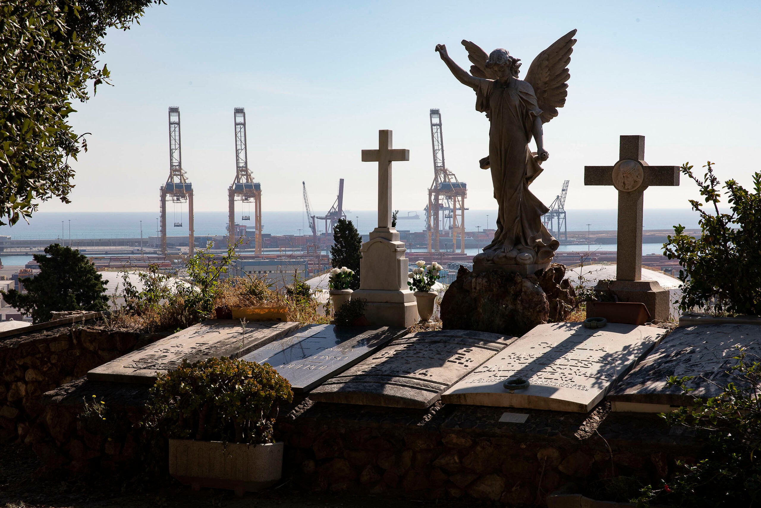 El cementiri de Montjuïc, en una imatge d'arxiu / Jordi Play