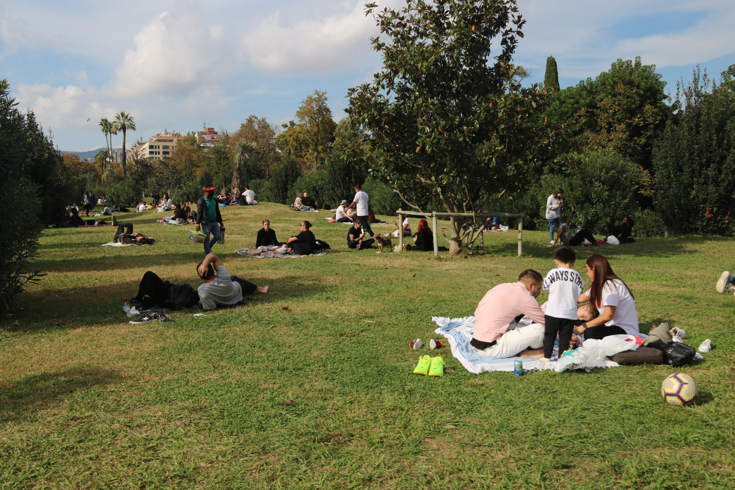 Diversos grups de persones fent pícnics al parc de la Ciutadella de Barcelona / ACN