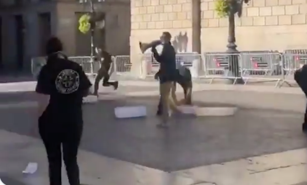 Samarreta logotipada a l'atac amb pintura contra el Palau de la Generalitat / TVE Catalunya