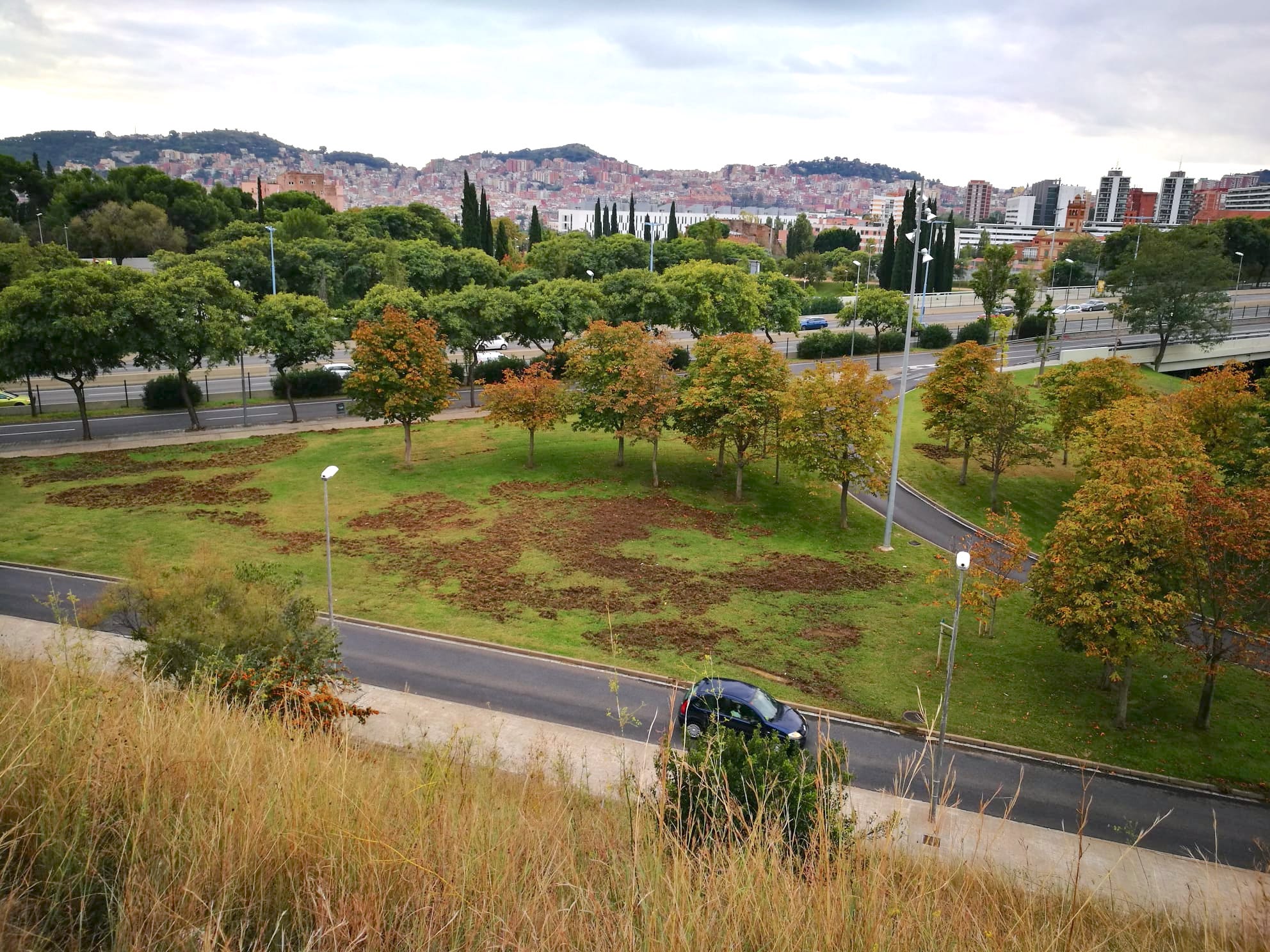 El pas de seglars joves va deixar una gespa d'Horta així de malmesa / Cedida