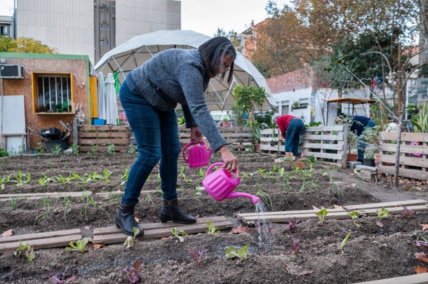 Imatge d'arxiu d'un hort urbà en un dels espais de Germanetes / Ajuntament